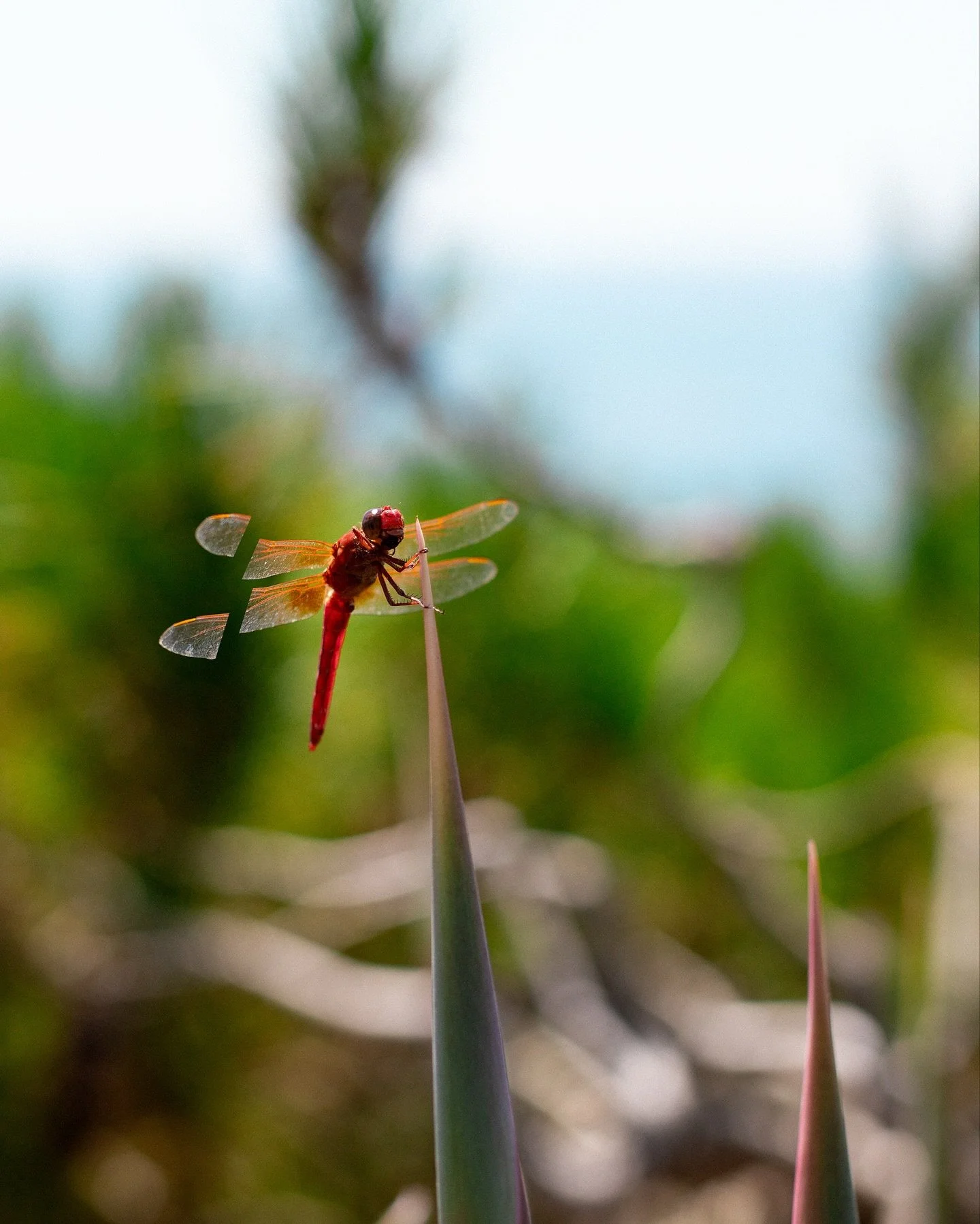 lucky to be a part of this collab 💖