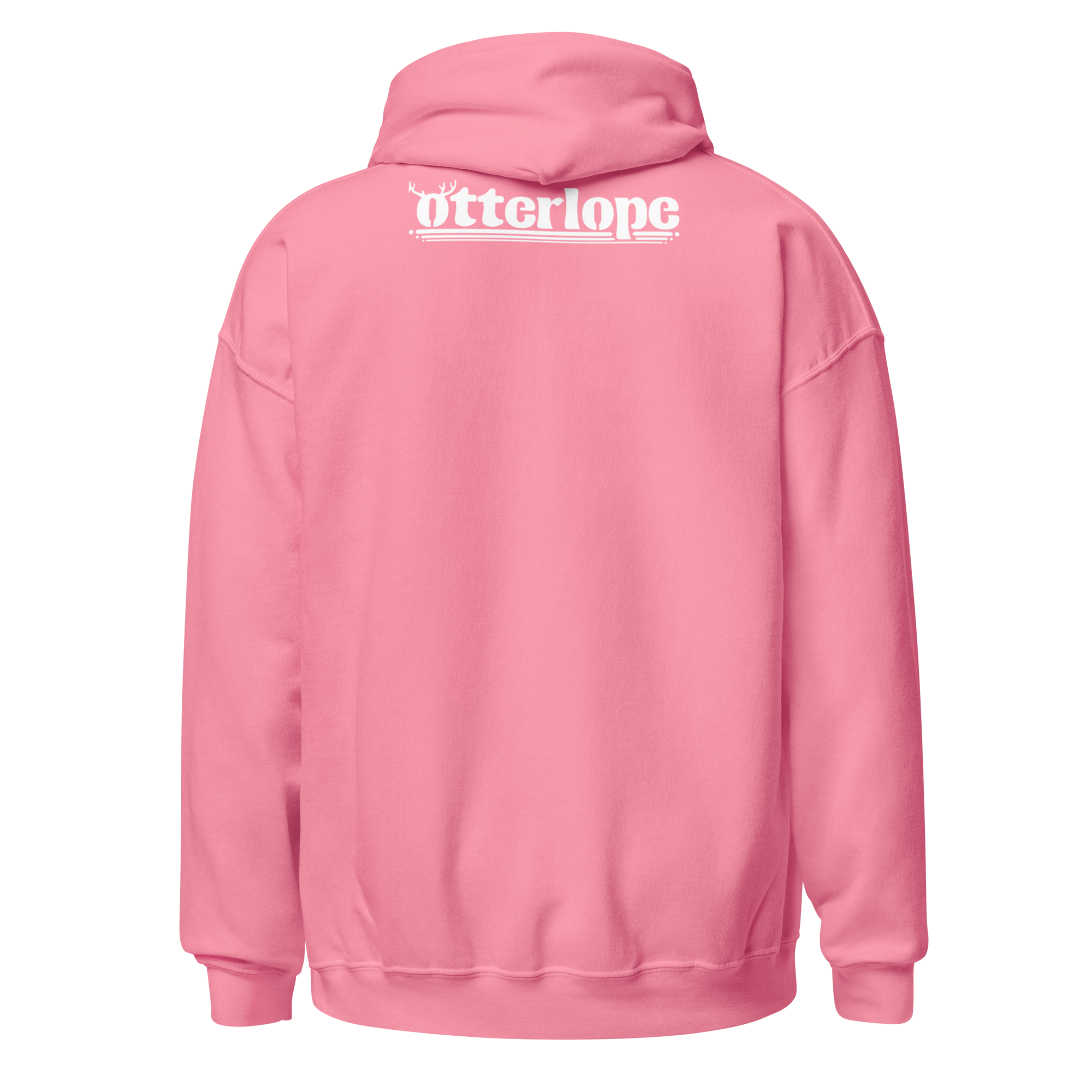 unisex-heavy-blend-hoodie-azalea-back-6a8ff70129cda.png