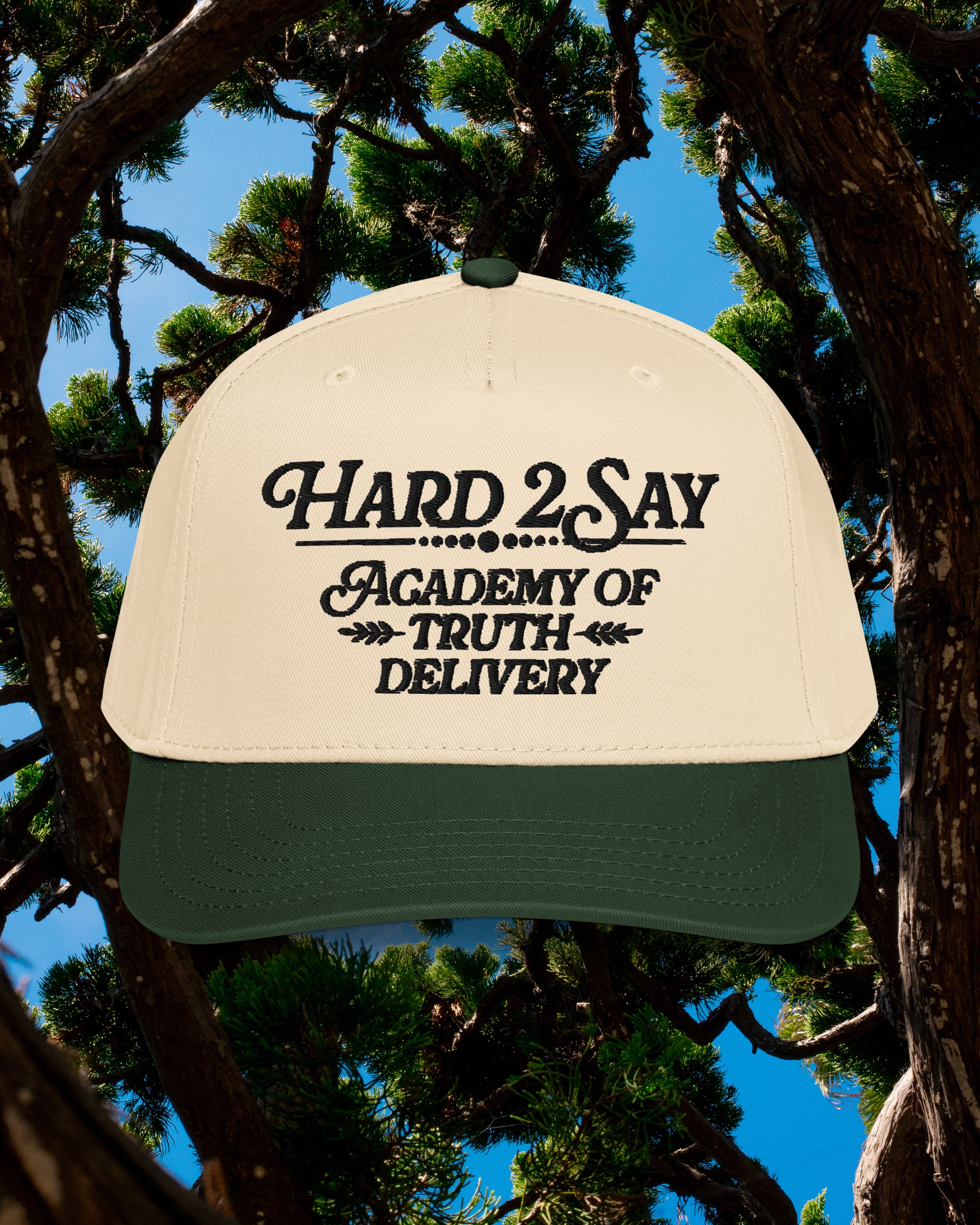 hard 2 hat.jpg