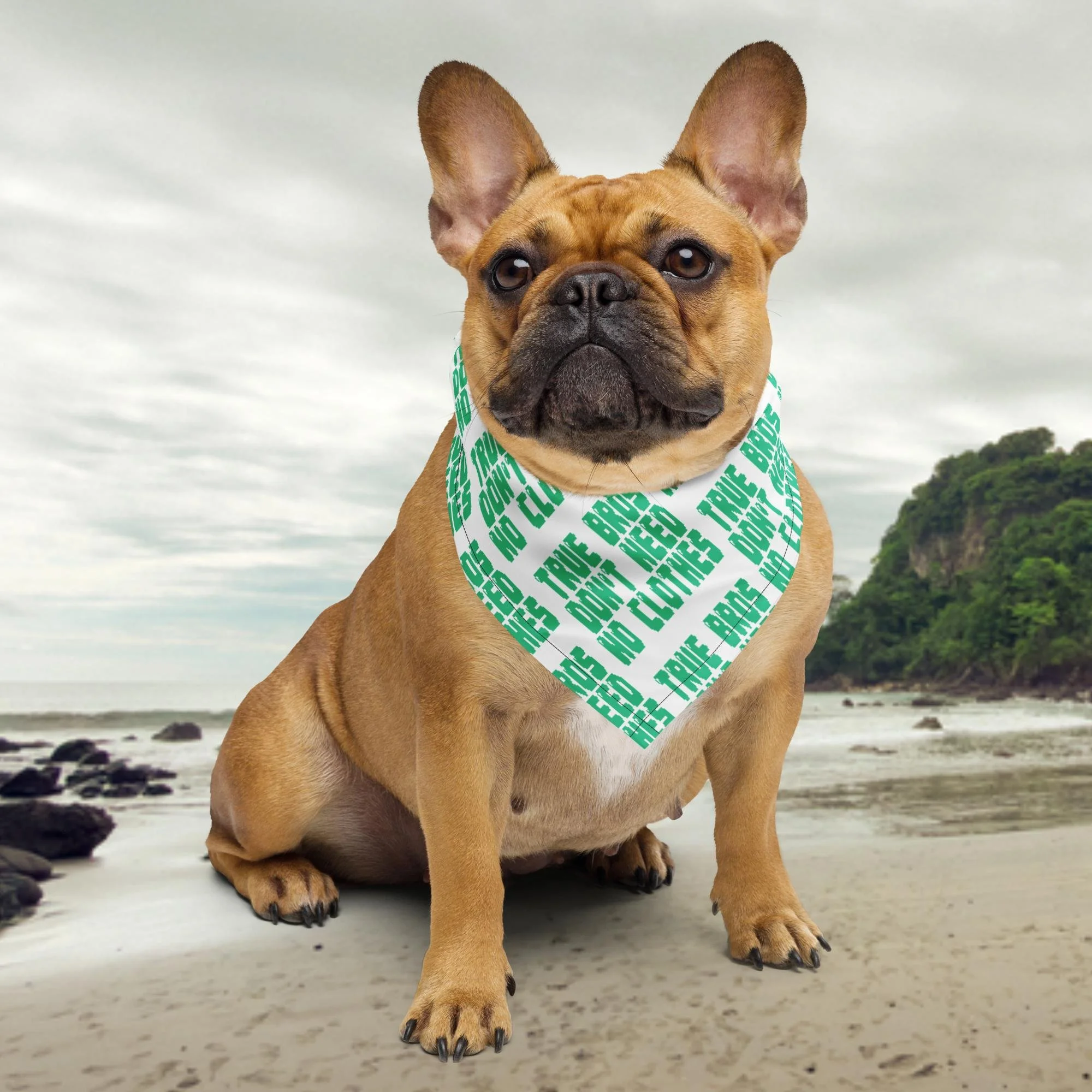 all-over-print-bandana-white-s-front-6a34b2ba0adbe.jpg