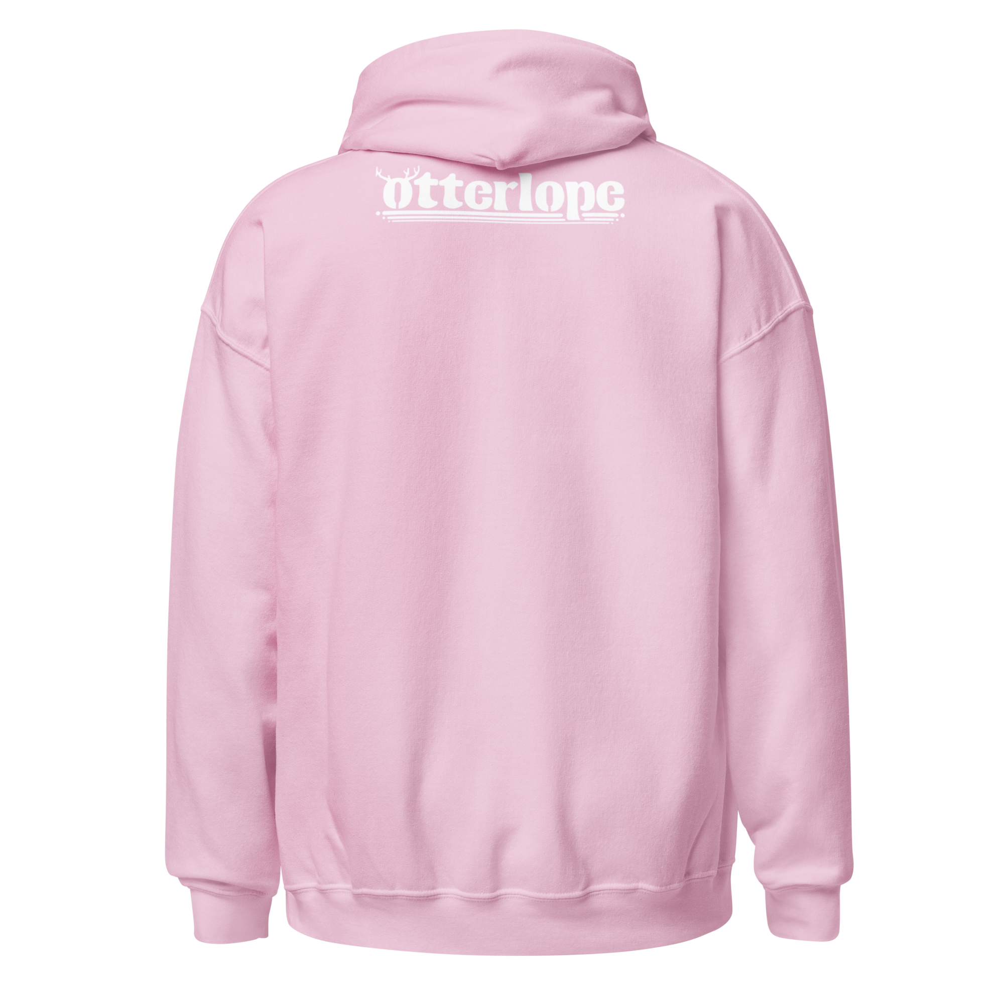 unisex-heavy-blend-hoodie-light-pink-back-6a8ff70129c38.png