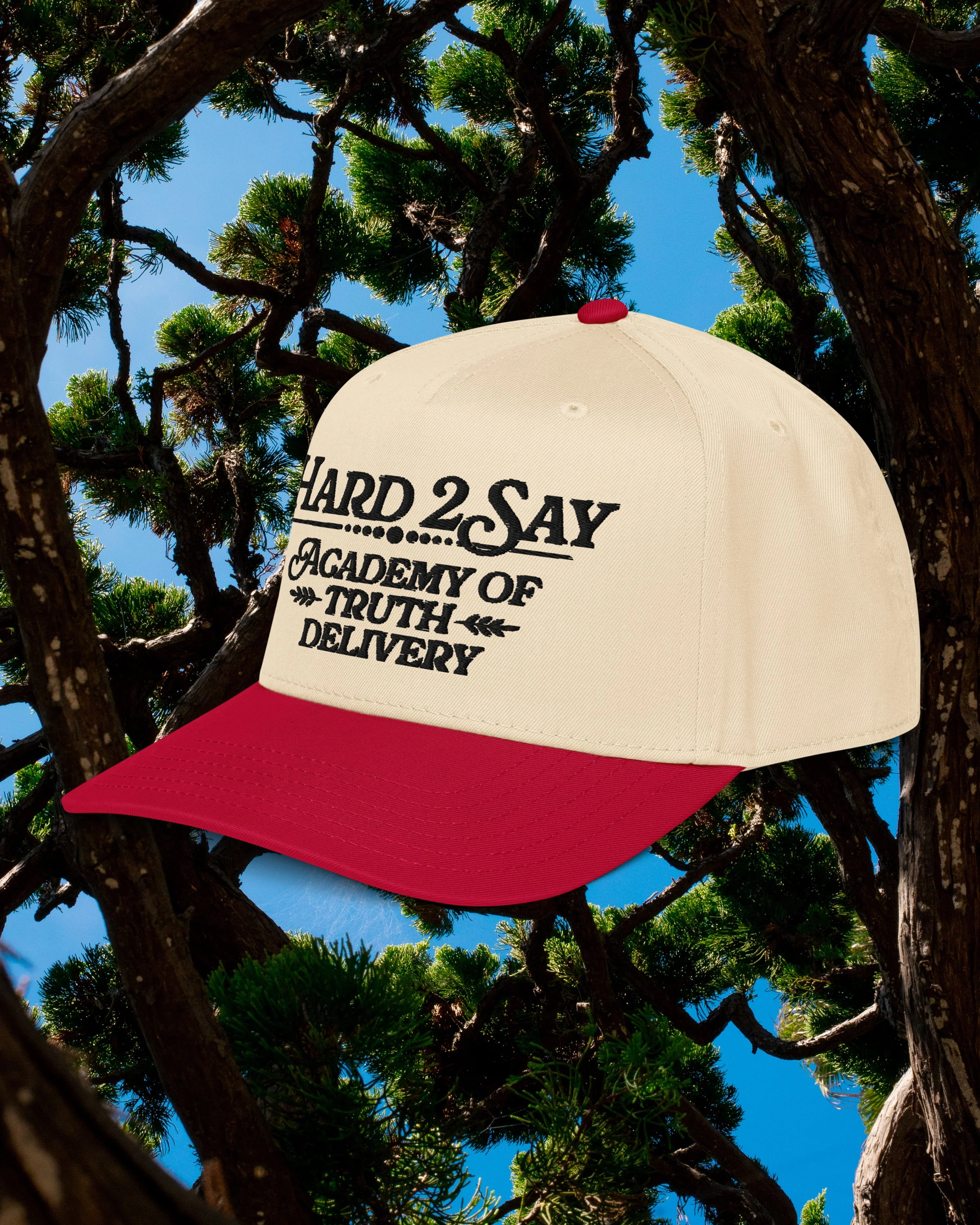 hard 2 hat3.jpg