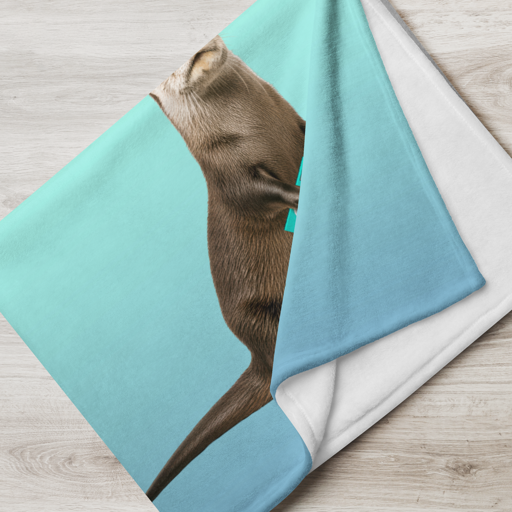 throw-blanket-30x40-lifestyle-6a9159caea986.png