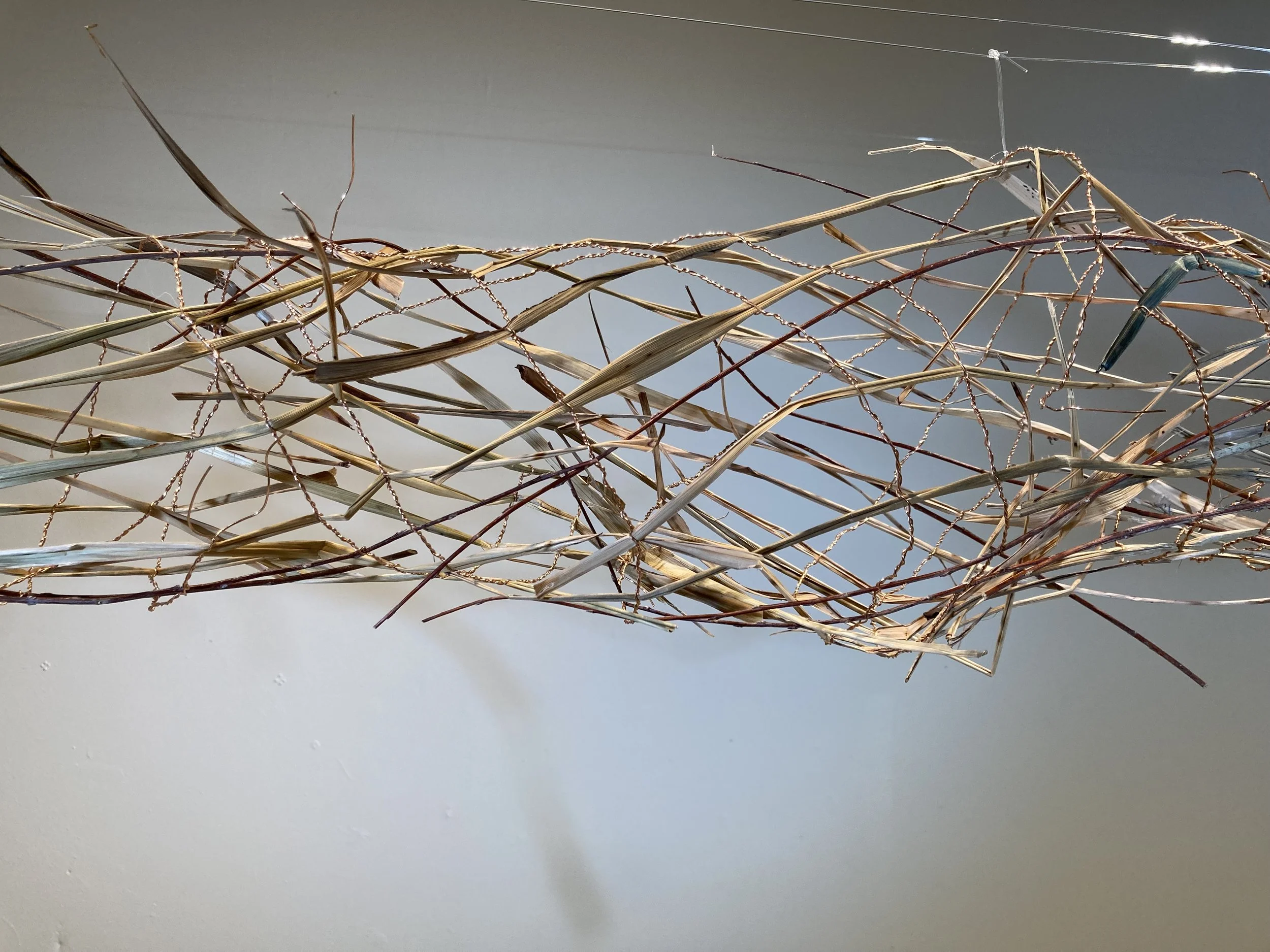 Uproot at GRRIC Contemporary