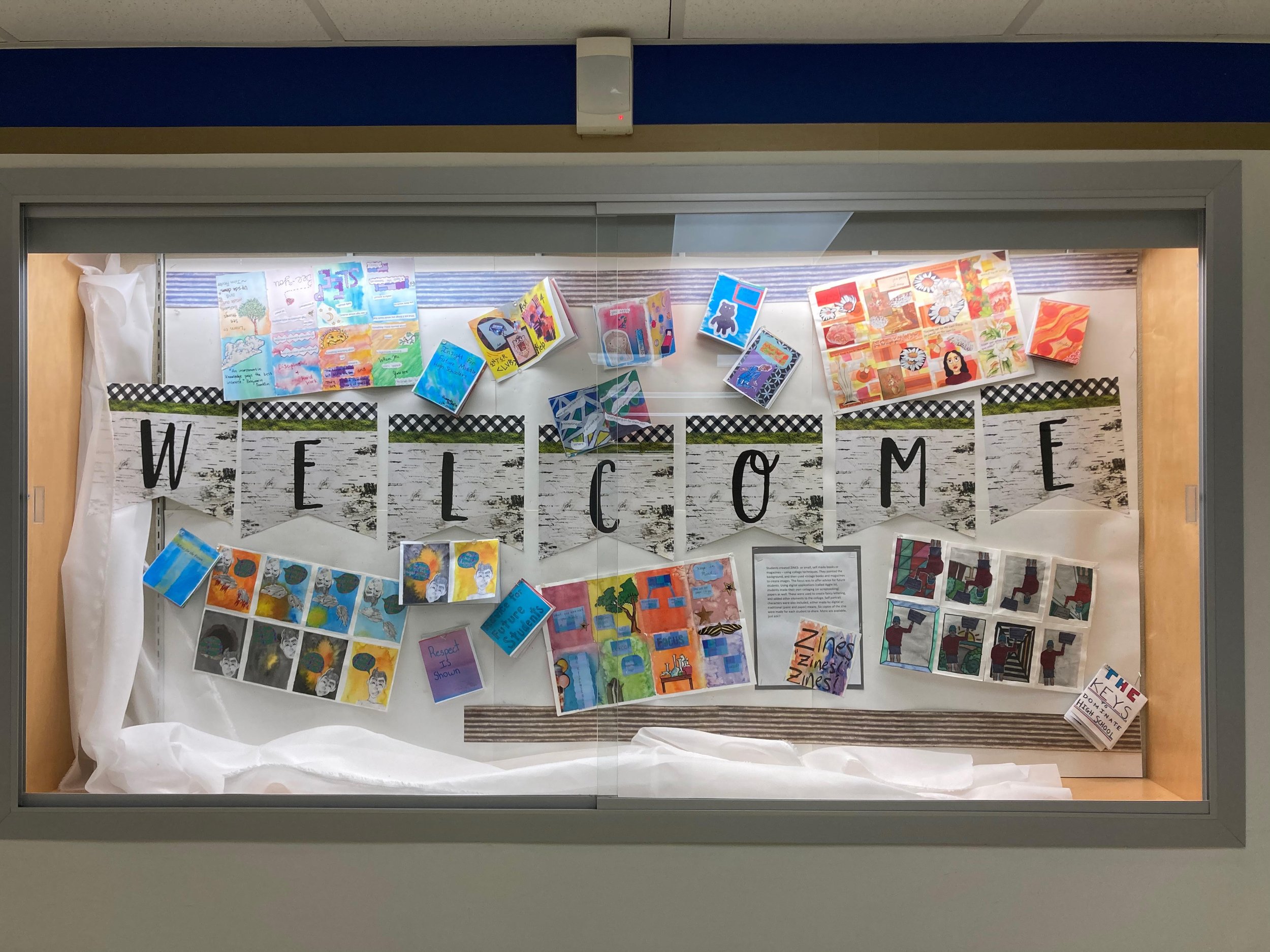 Library Display of Zines