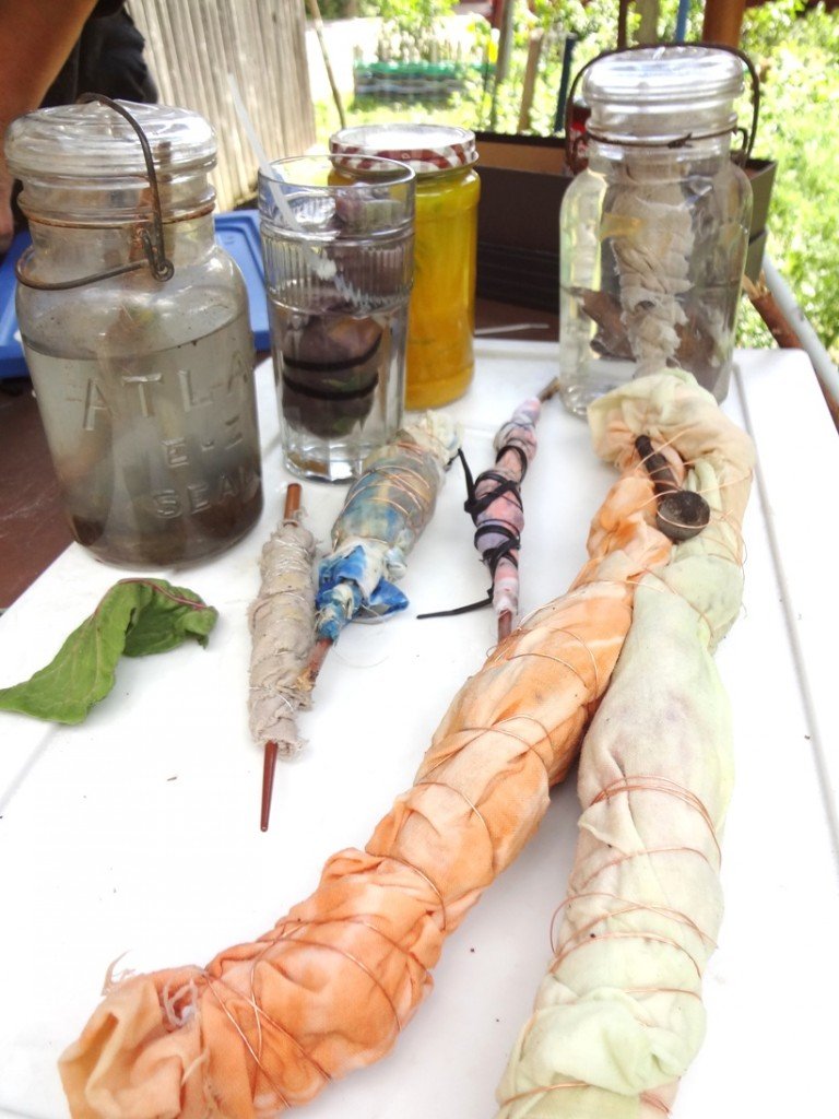 Natural Dye experiments class