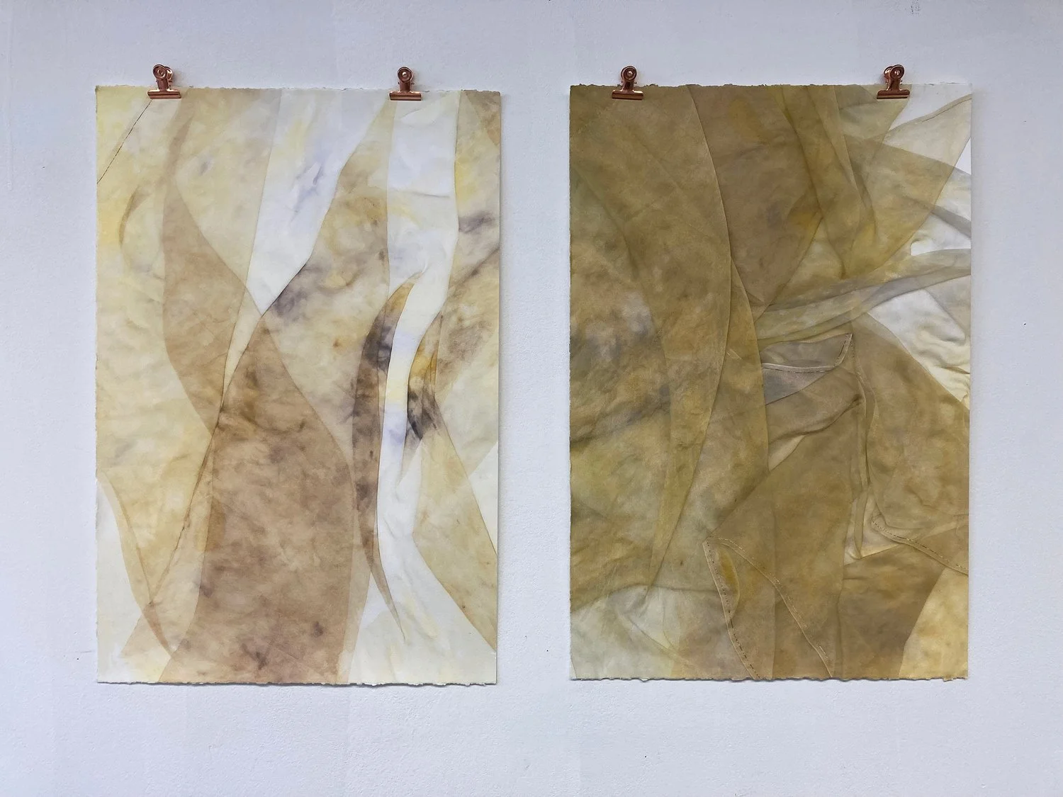 Coppings-Amber_Final-Portfolio_the-marks-the-earth-leaves-on-us-series_First-Garden_diptych.jpg