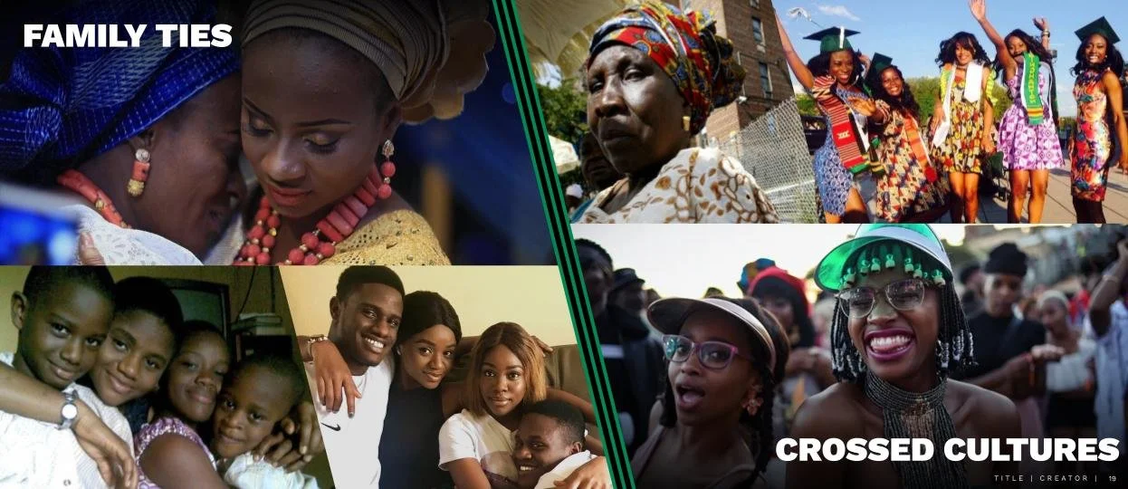 Copy of THE SEEDED _ Pitch Deck  (5).jpg