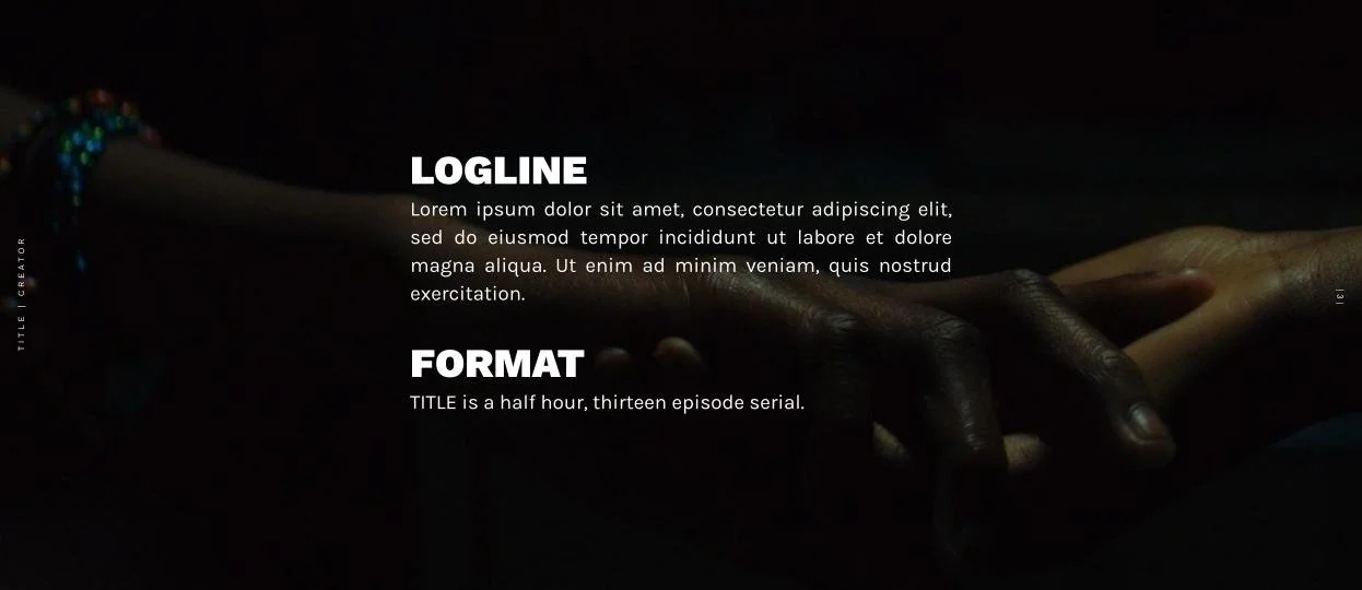 Copy of THE SEEDED _ Pitch Deck .jpg