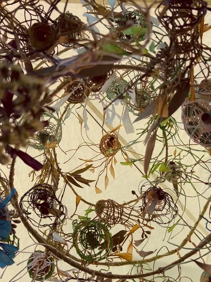 She&rsquo;s grown!!

With contributions from 38 people across three workshops, here hangs
&ldquo;A Forest for Altona &ndash; A Community Woven Canopy.&rdquo;

I absolutely had to lie down beneath it and take it all in &mdash; experiencing the work in