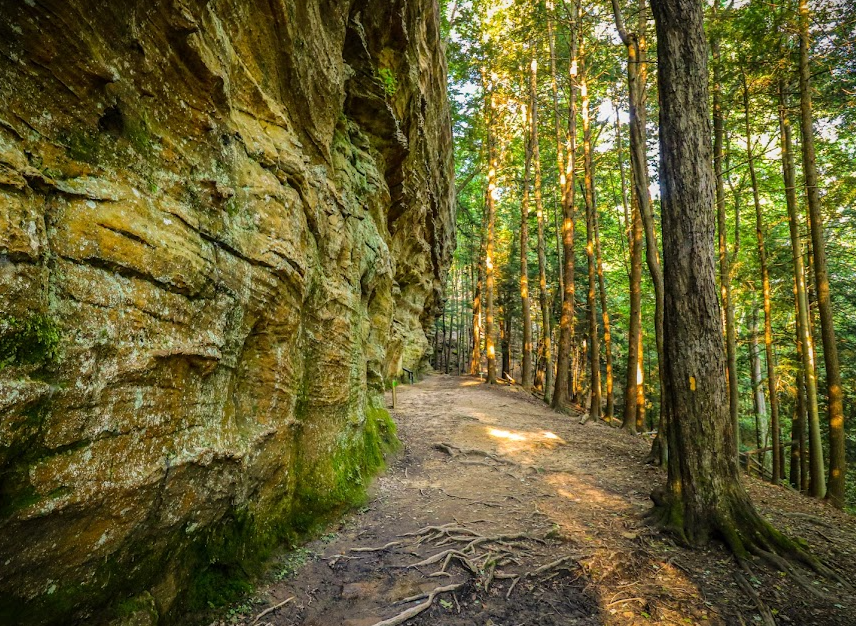 Hemlock bridge trail.PNG