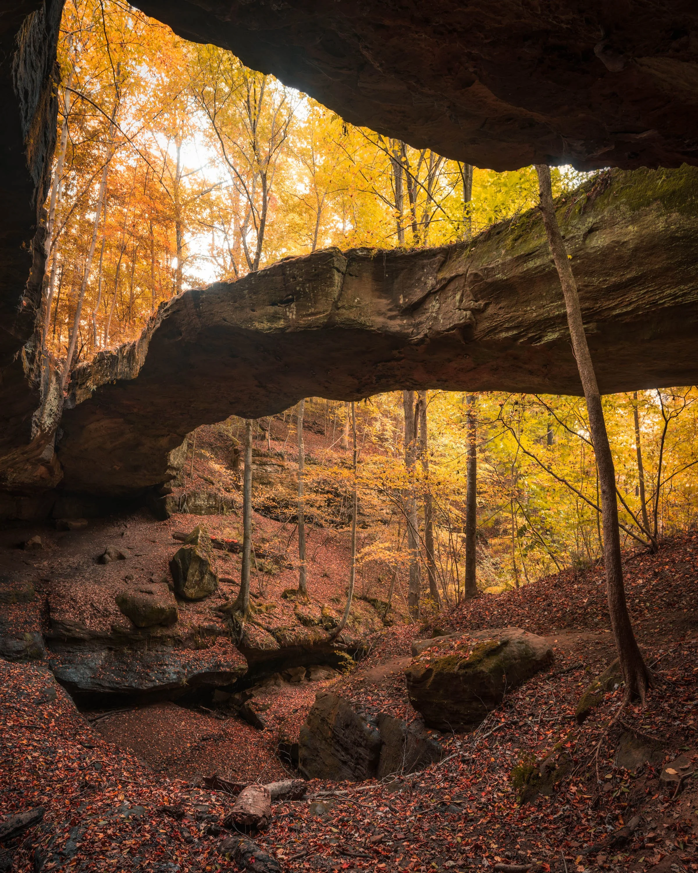 Rock Bridge v.2.jpg