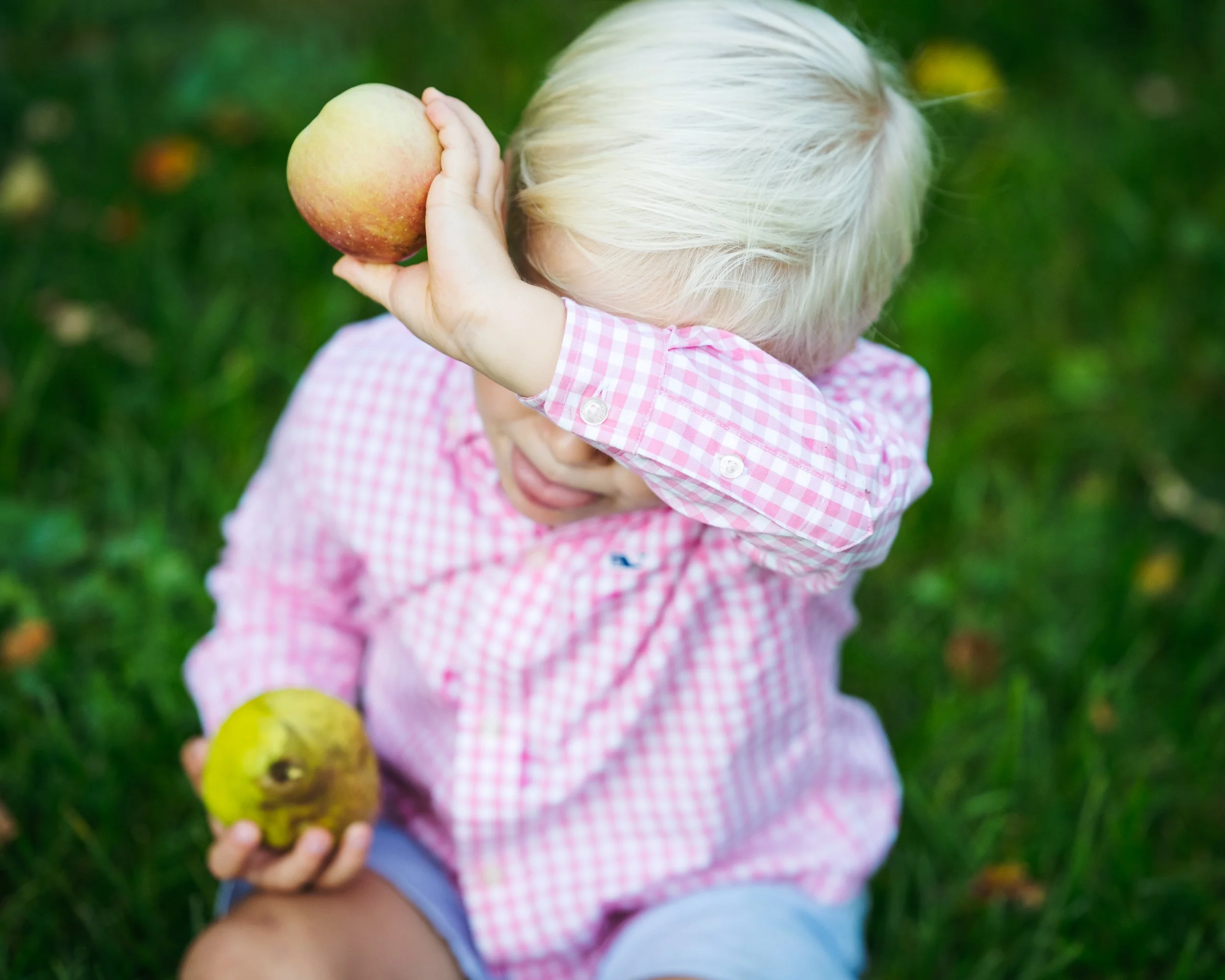 in home family photography session