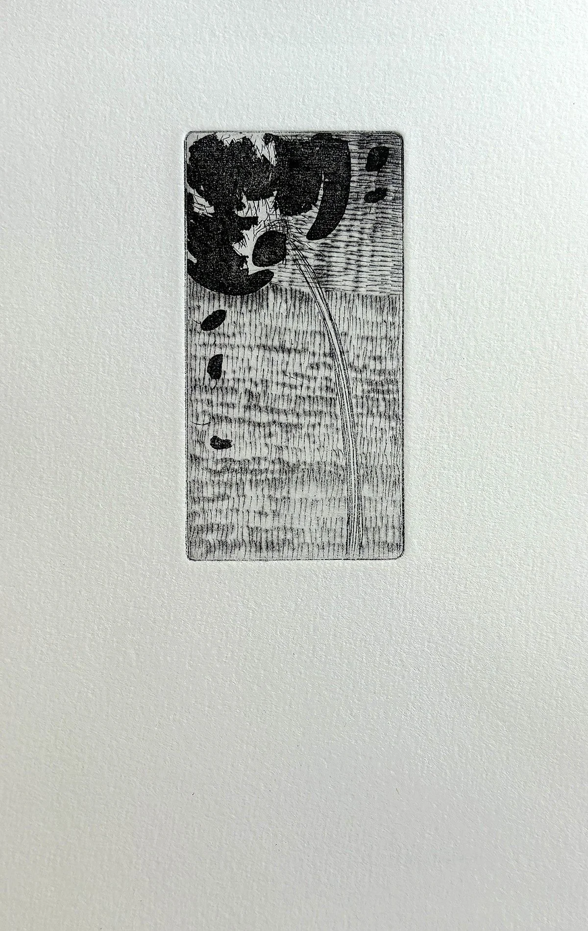 Untitled, etching and aquatint, on Hahnemühle Paper (Warm White) 230gsm ©2025
