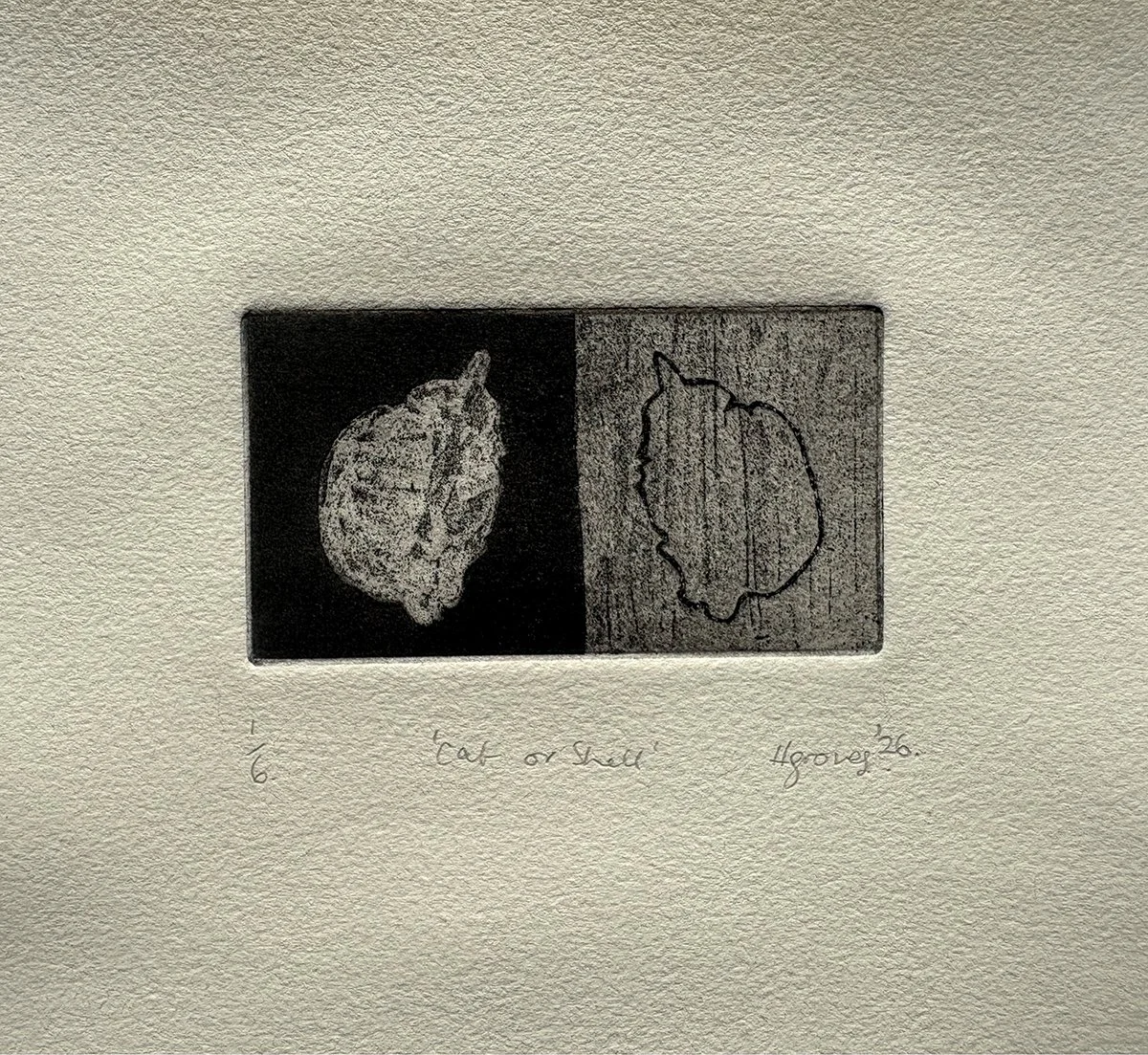 Cat or shell.
2026, aquatint edition of 6 on Hahnemühle©
