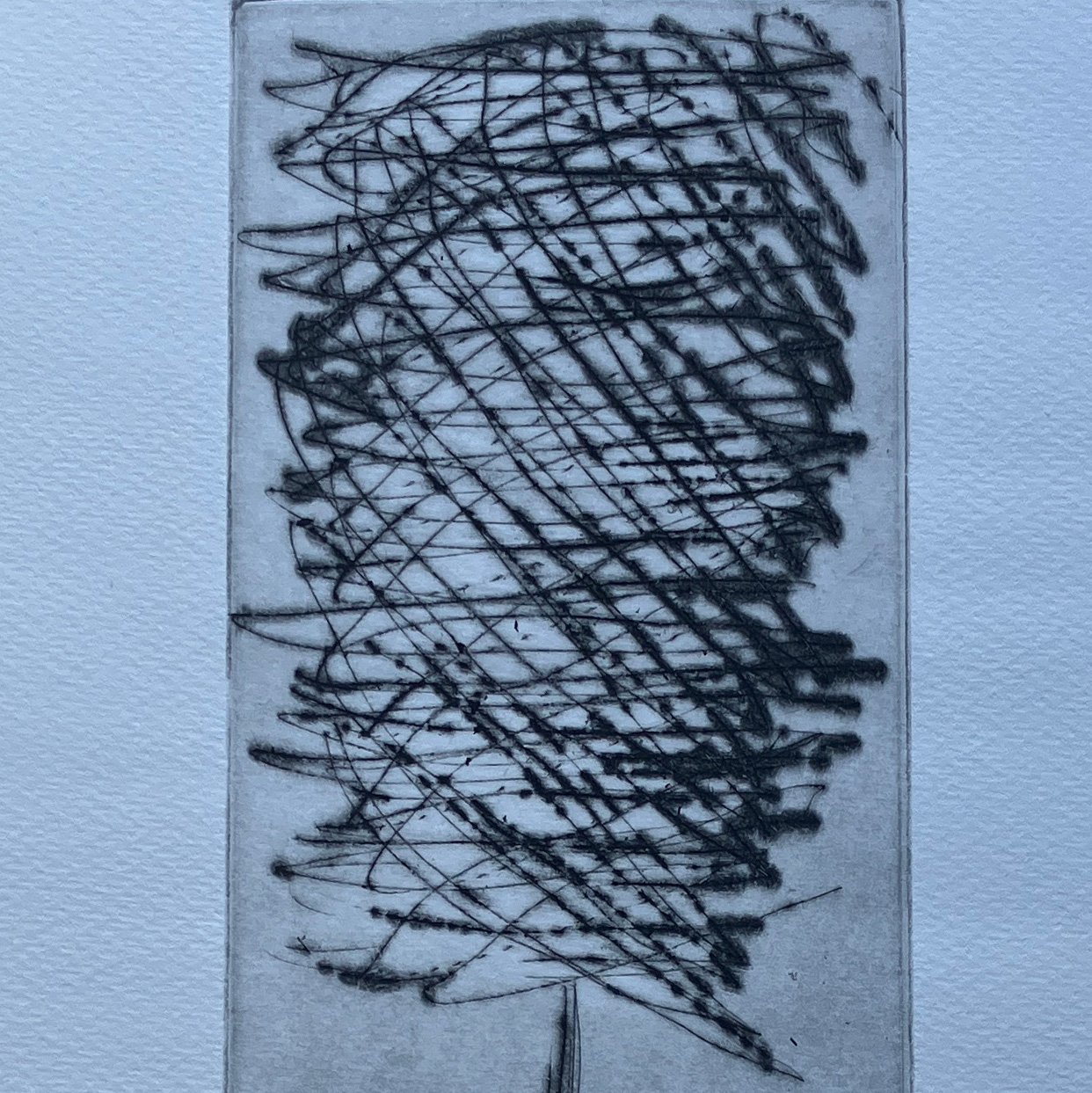 Dandelion (detail), drypoint etching on Fabriano©2024