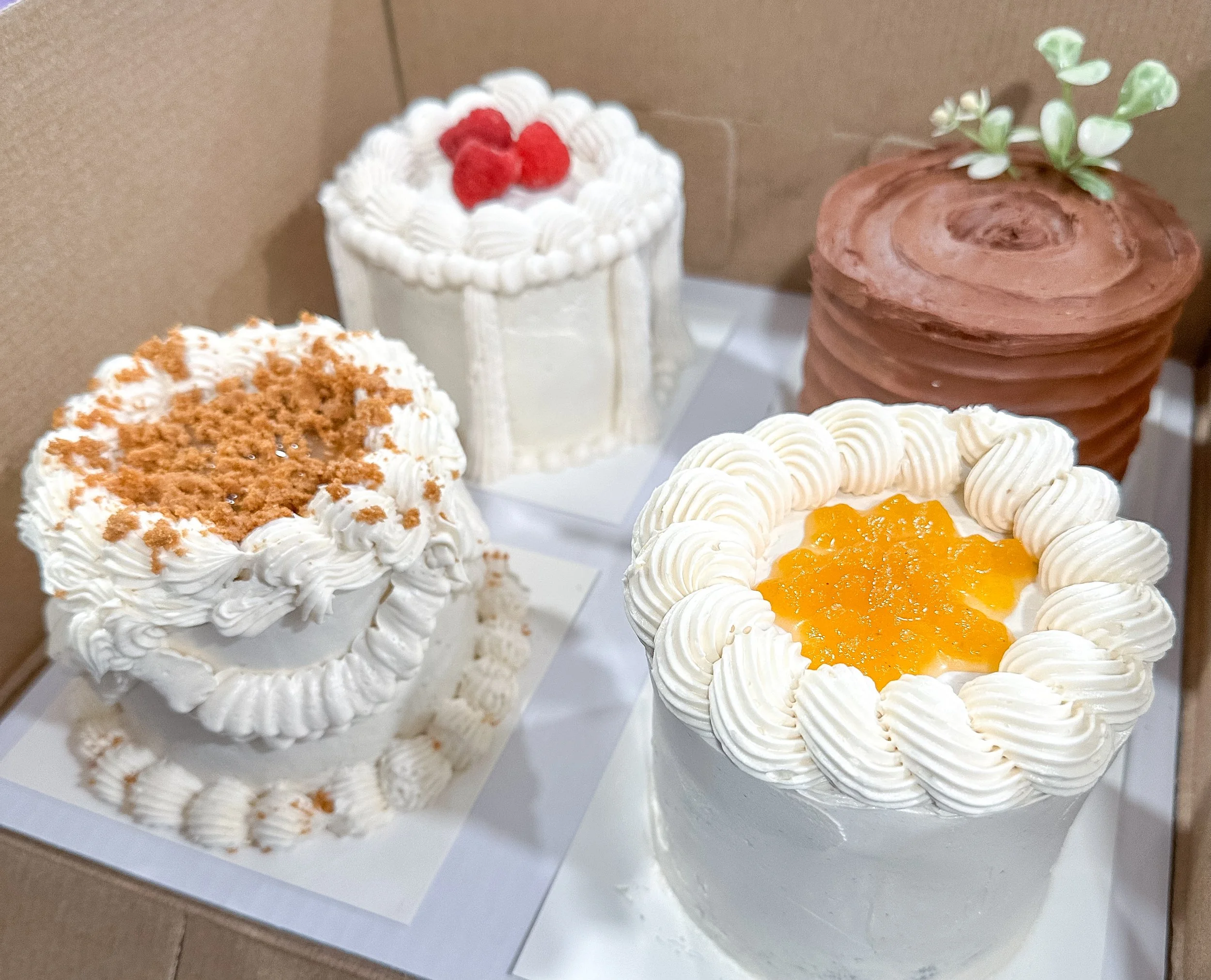 Cake Tasting Mini Cakes  -June Release- Orders close June 17, 2026