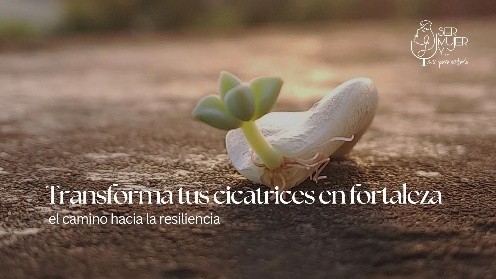 Transforma tus cicatrices en fortaleza: el camino hacia la resiliencia