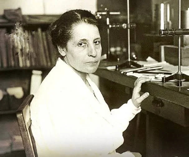 Lise Meitner: La física que descubrió la fisión nuclear y no recibió el Nobel