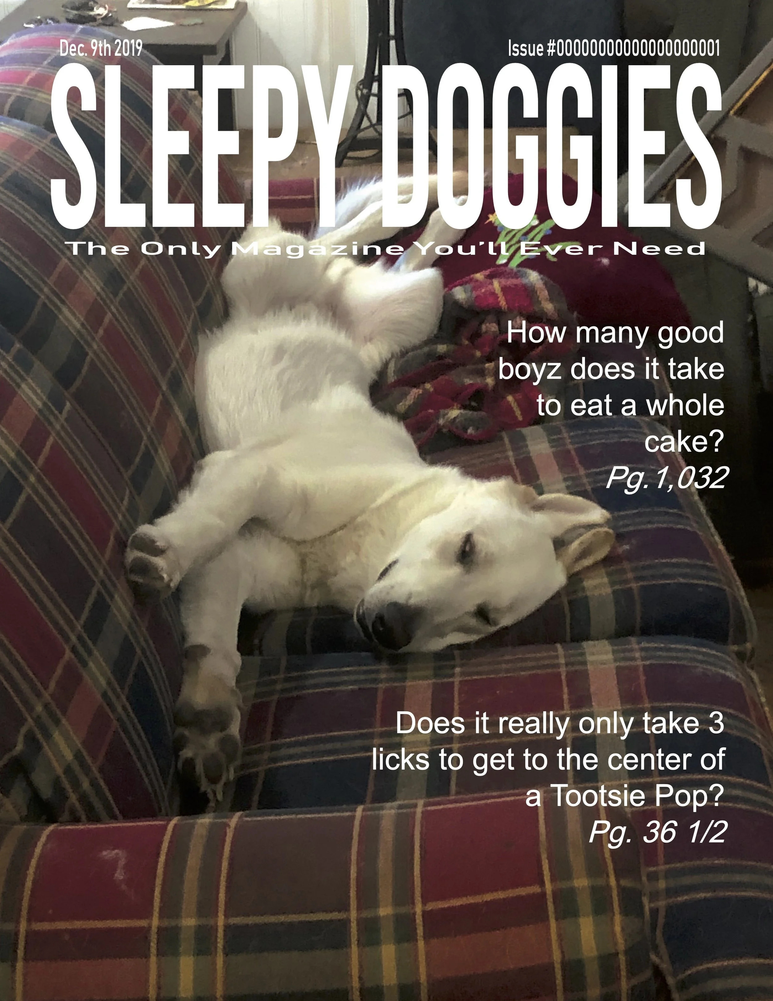 Kennedy_MiniMag 1.jpg