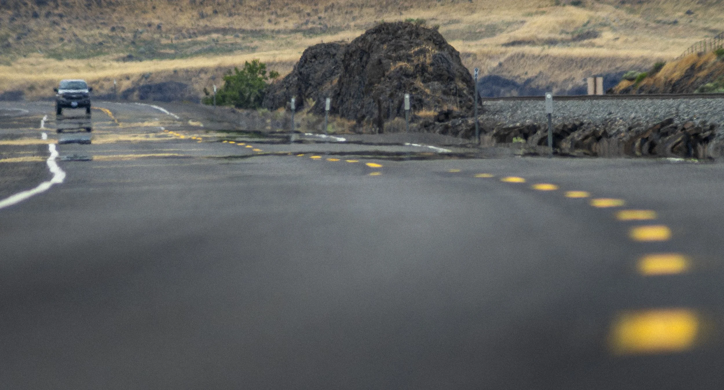 DSC08214-Enhanced-NR_sm 2.JPG