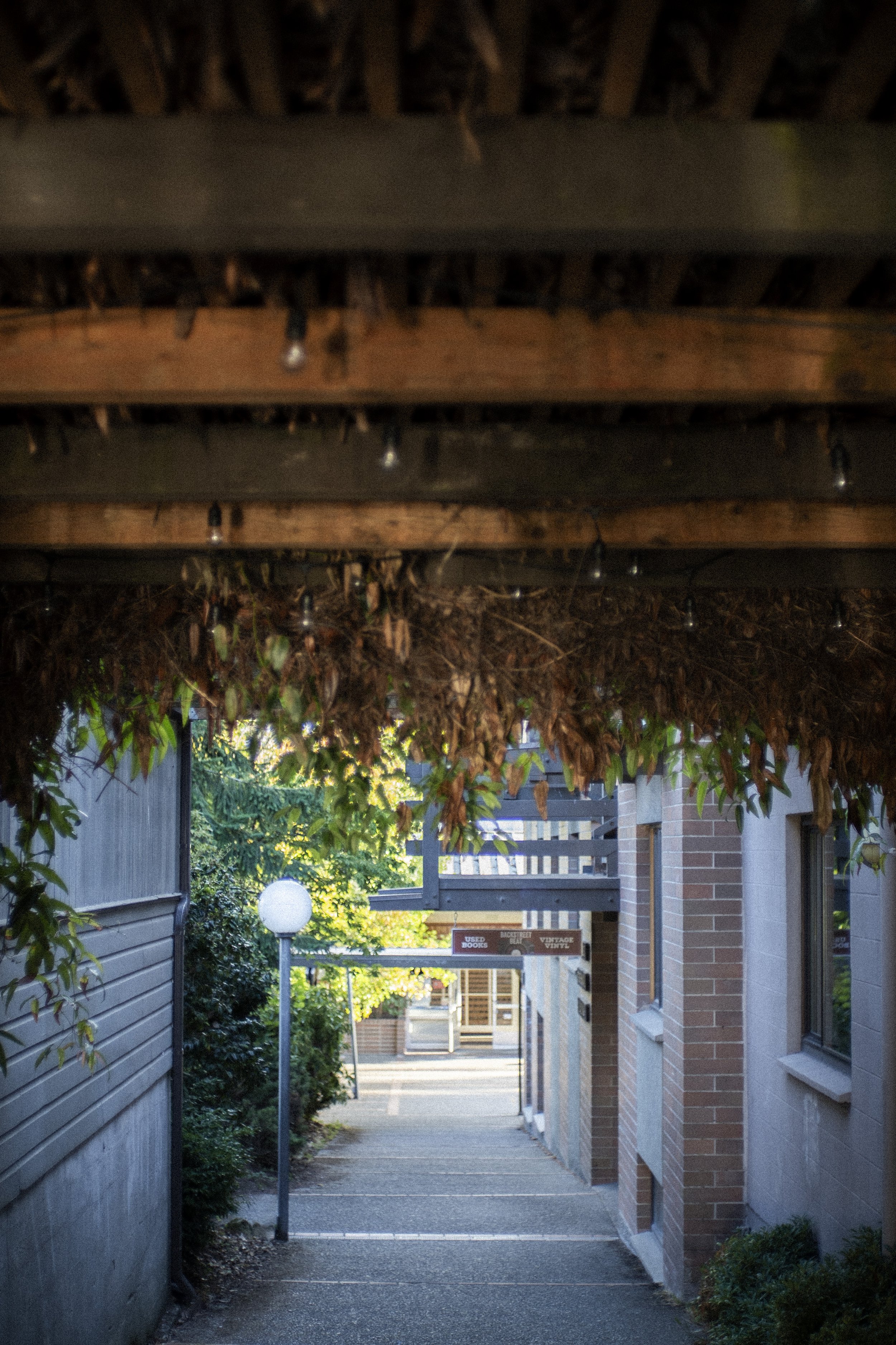 DSC08850_sm EDITED.jpg