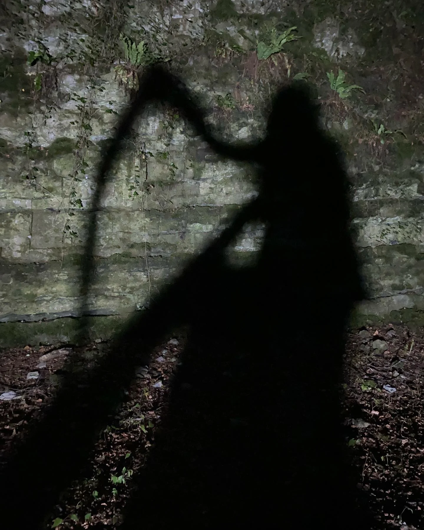 "The Thinning Veil" - Residency Showcase