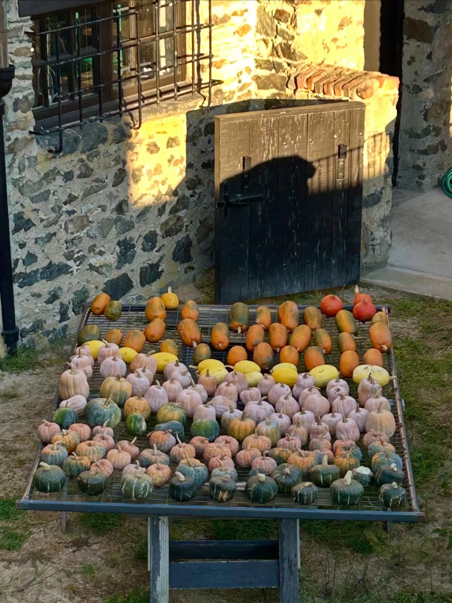 A few scenes from a wonderful first book talk for &ldquo;Reaping What She Sows: How Women are Fixing Our Broken Food System&rdquo;(@melvillehouse) at the regenerative + organic @oceanhourfarm in Newport, Rhode Island. 

Along with its sister organiza