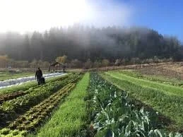 Green Valley Farm + Mill