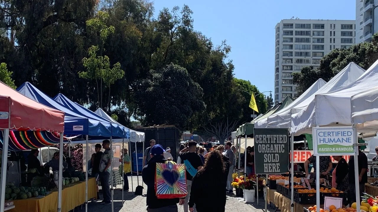 Santa Monica Farmer's Market book signing and reading