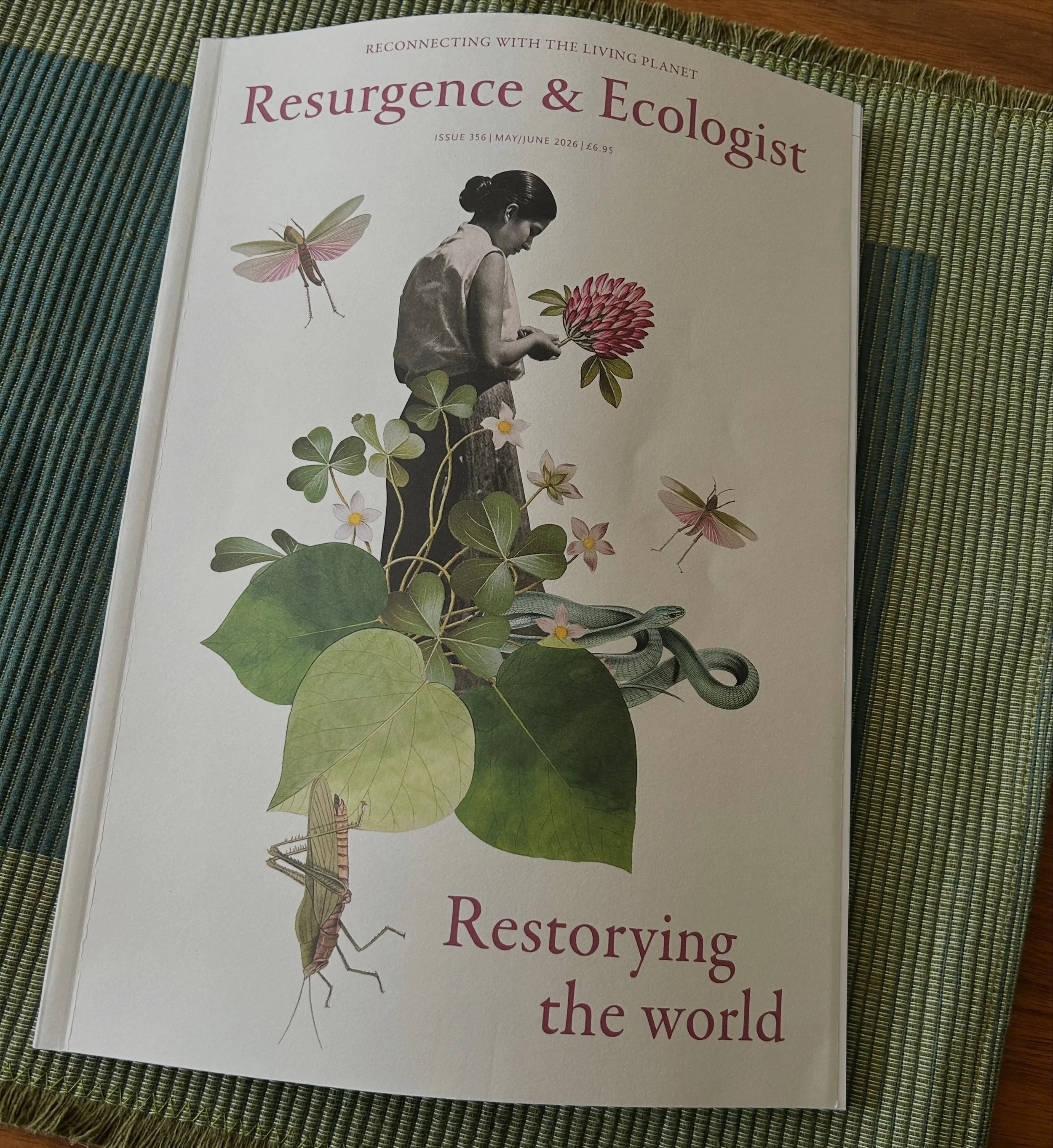 I&rsquo;m honored to be included in the latest issue of &ldquo;Resurgence &amp; Ecologist Magazine,&rdquo;the publication of UK-based @resurgencetrust. 

This issue focuses on how we can change the language we use +  the stories we tell to restore ou