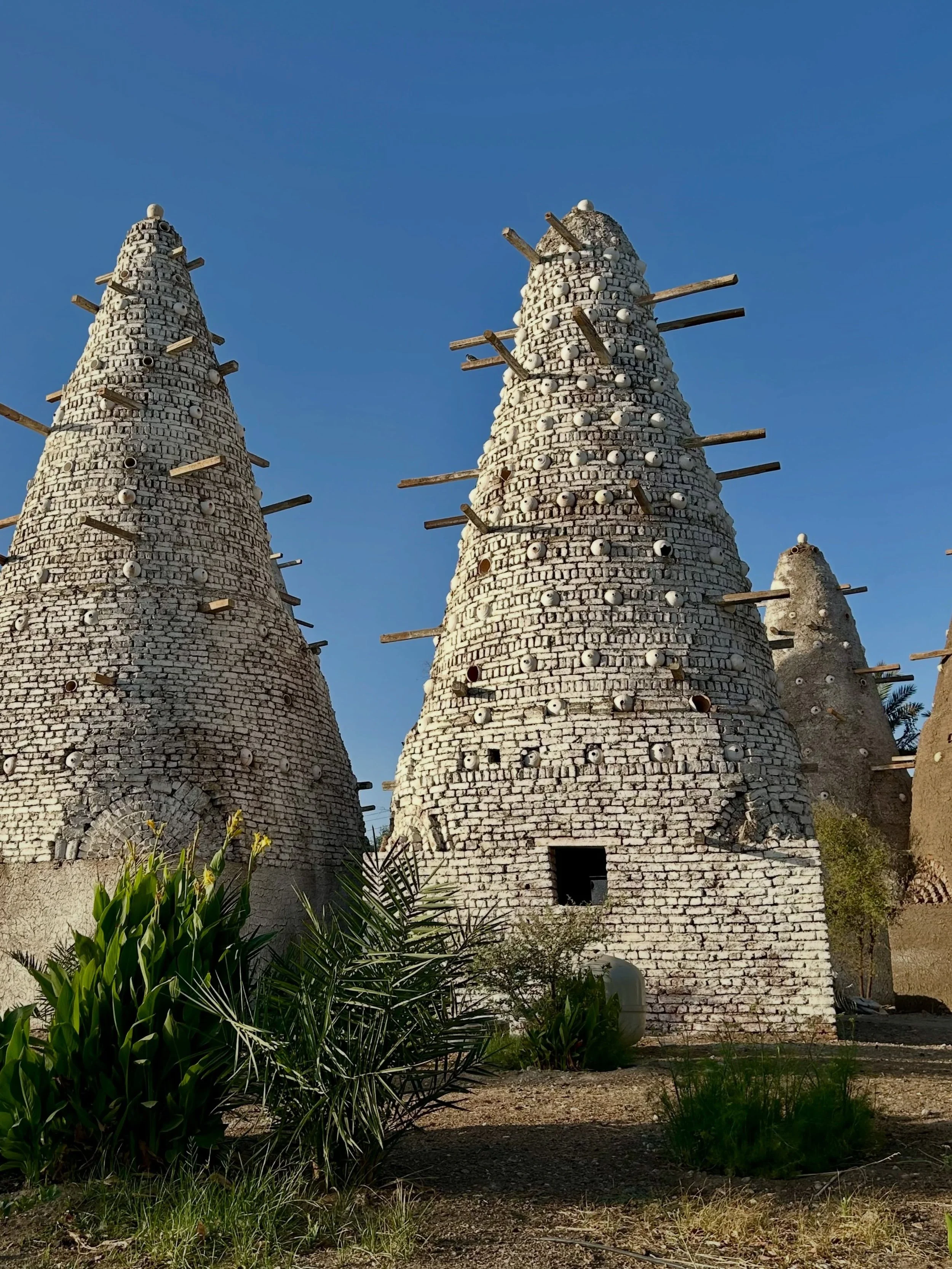 What a joy to discover the ultimate field- + farm-to-table experience in Luxor, Egypt @moudira_hotel Farm Kitchen. The 29-acre farm has been in operation for about 3 years now, but Chef @giocondascott arrived only late last year, overseeing the const