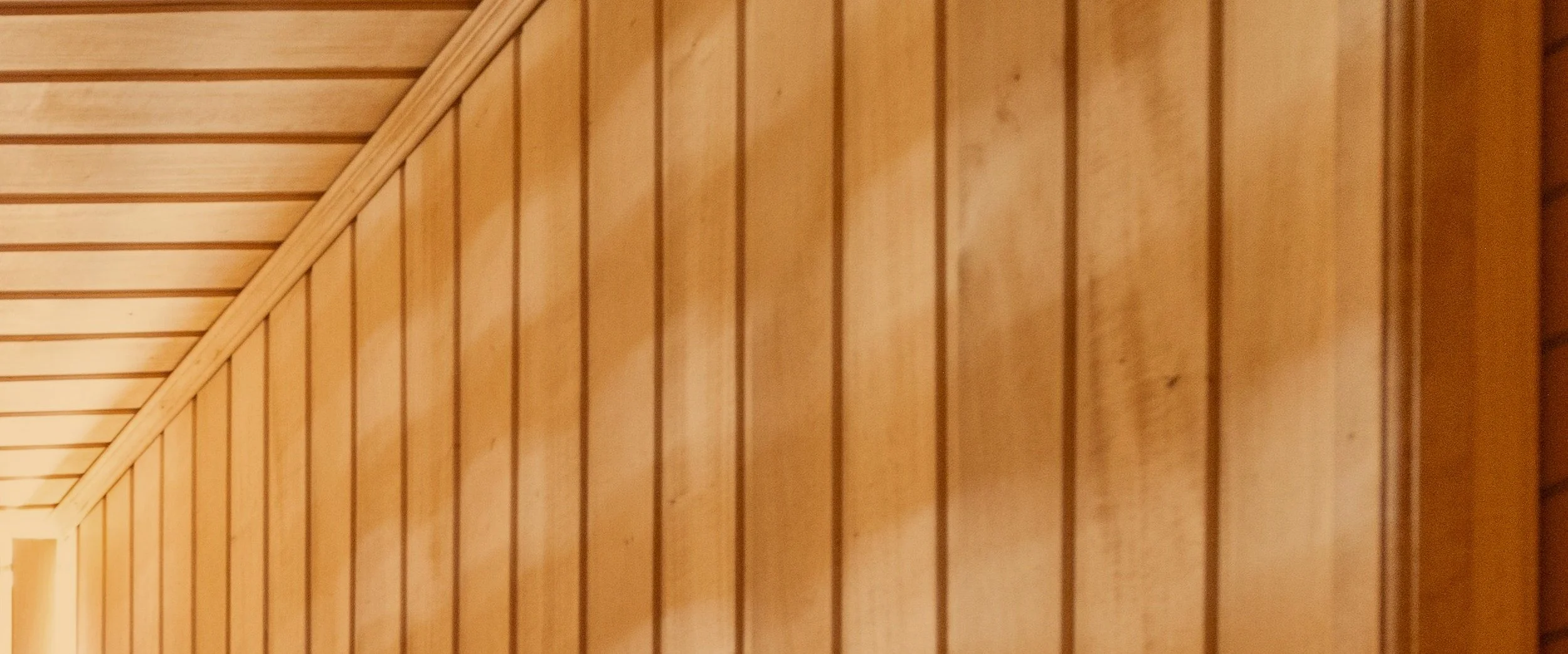 pexels-max-vakhtbovych-8092430.jpg