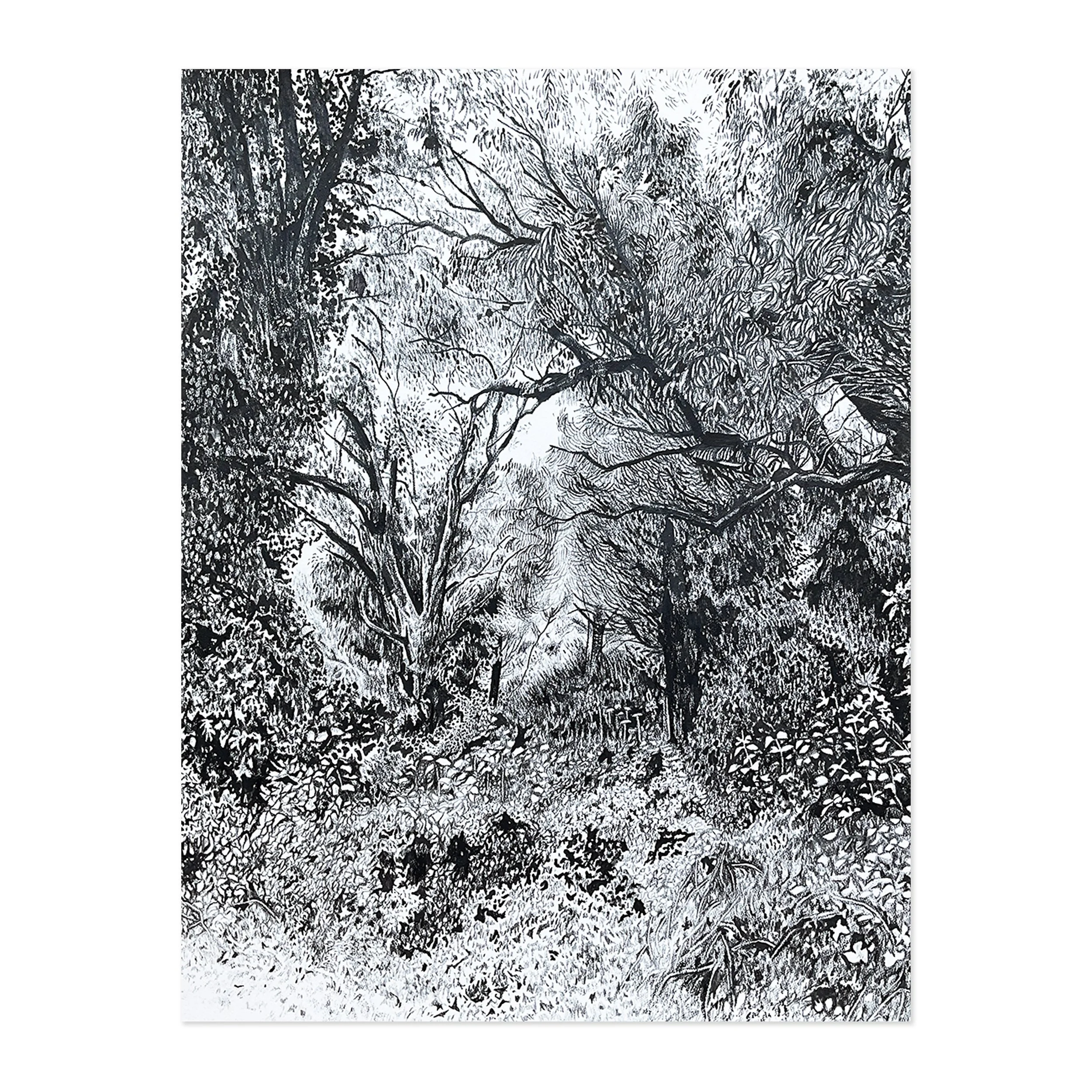 To Connect with the Beauty, Poetry, the Wildness