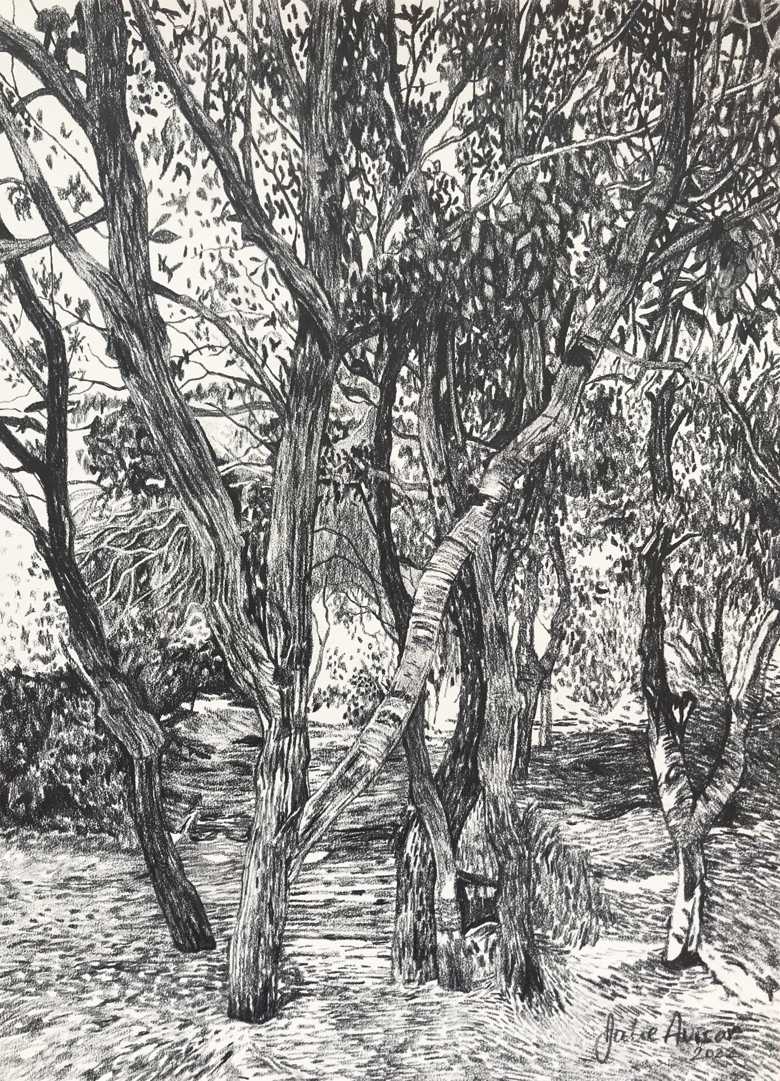 Little forest.jpeg
