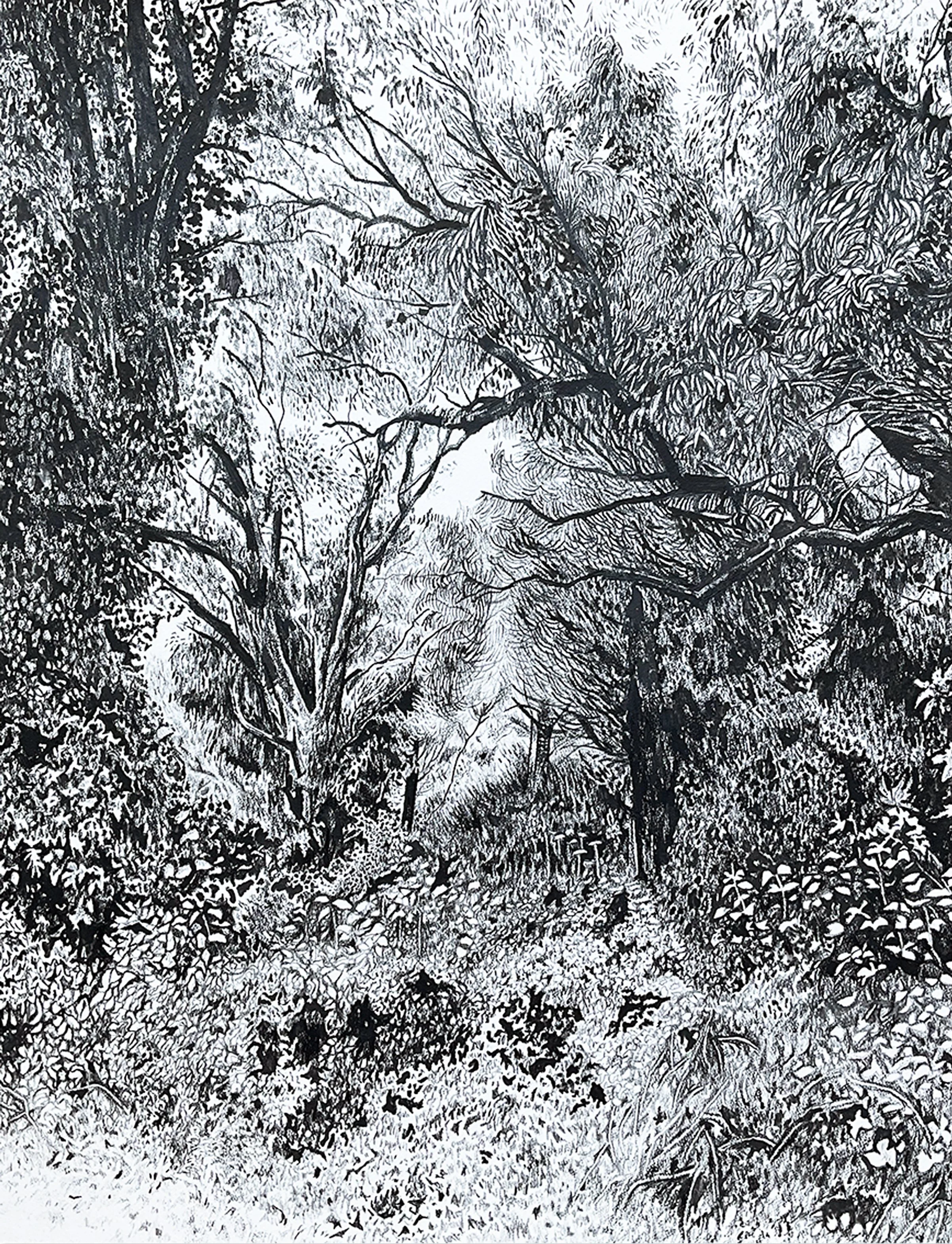 To Connect with the Beauty, Poetry, the Wildness 2.jpg