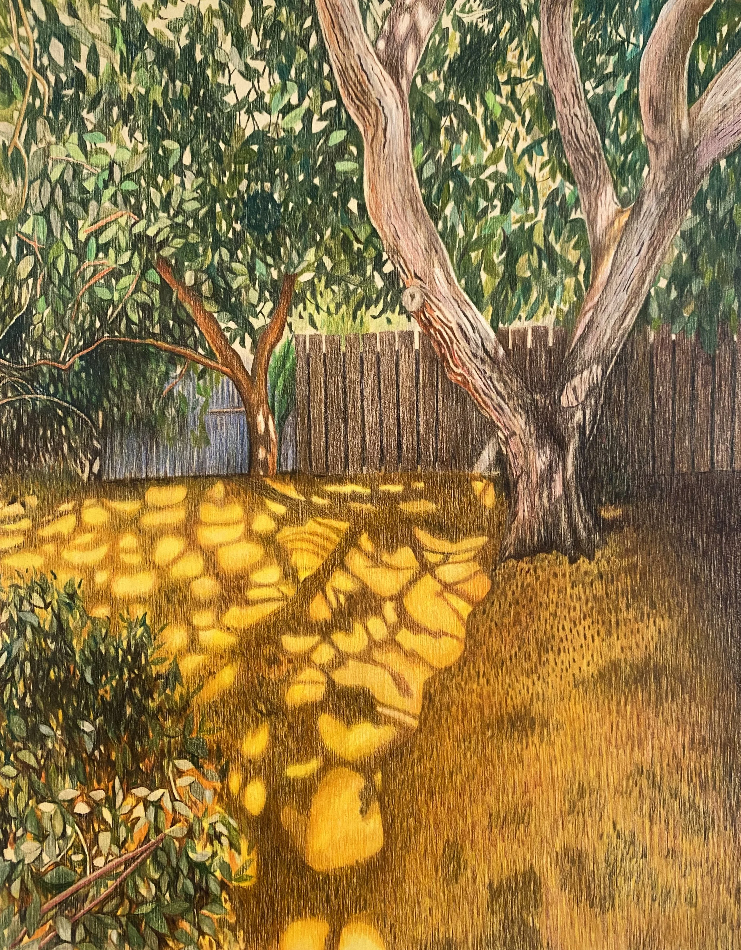 The Honeyed Yard.jpg