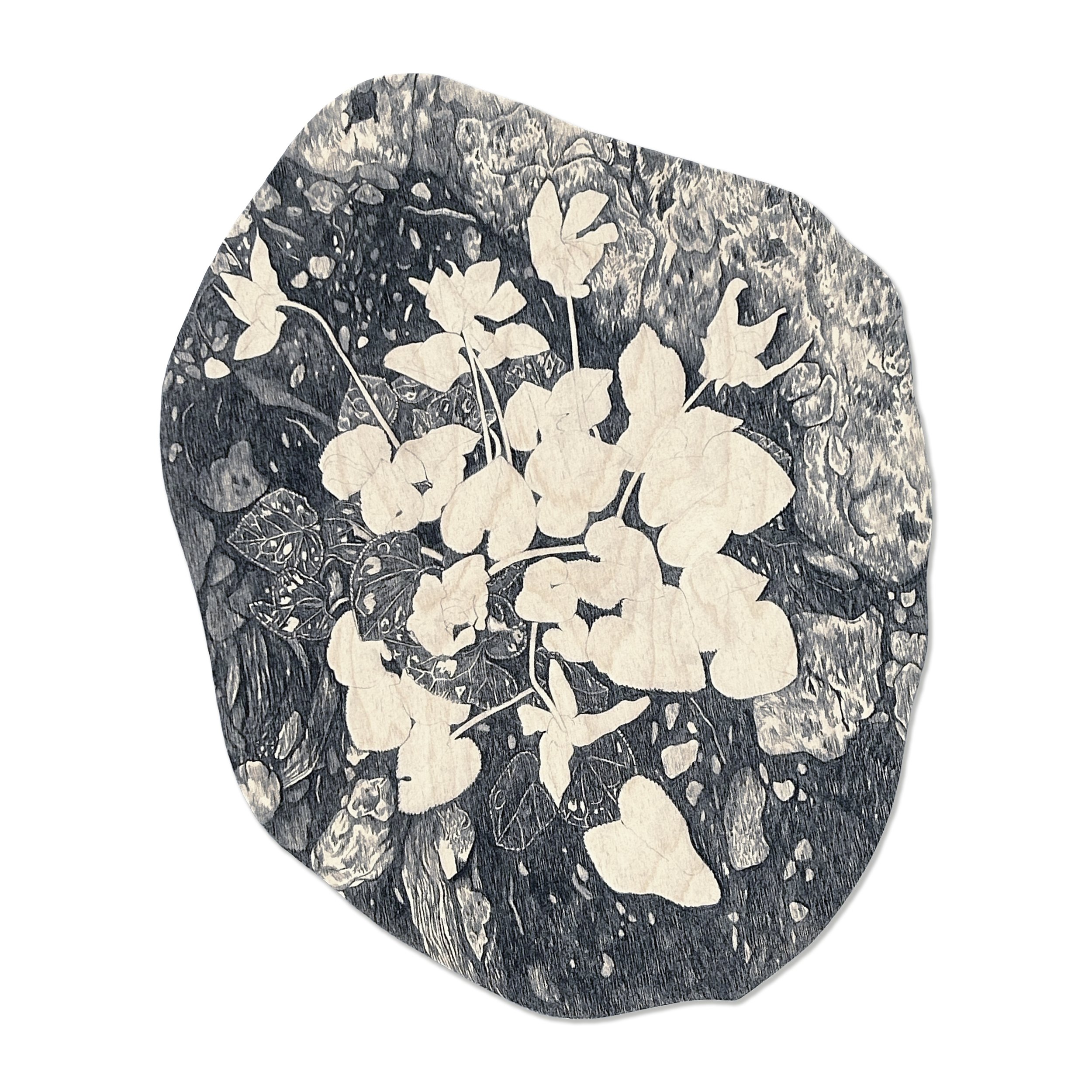 Ground, graphite on birch wood, 40cm x 47cm
