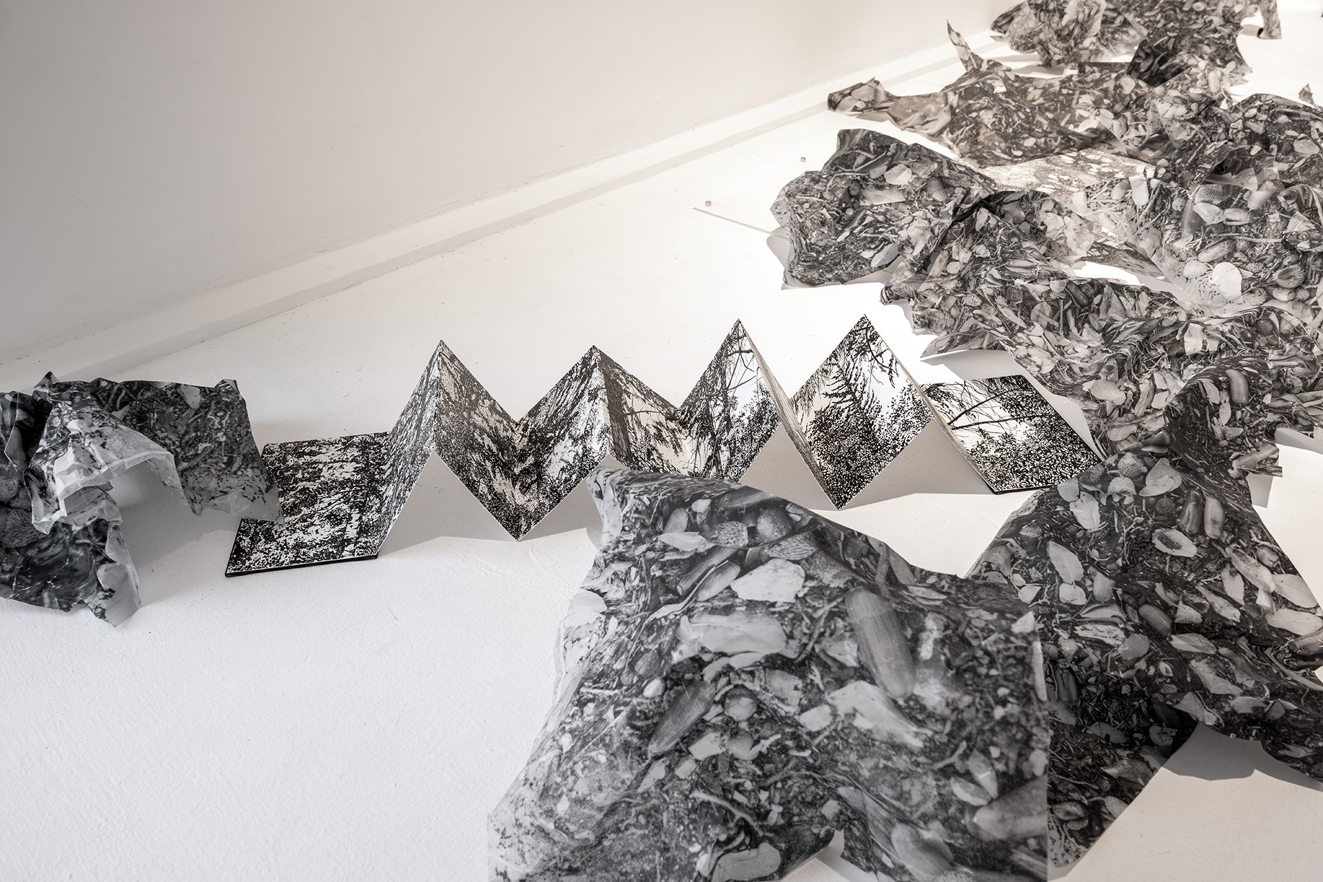 Accordion forest book, installation view