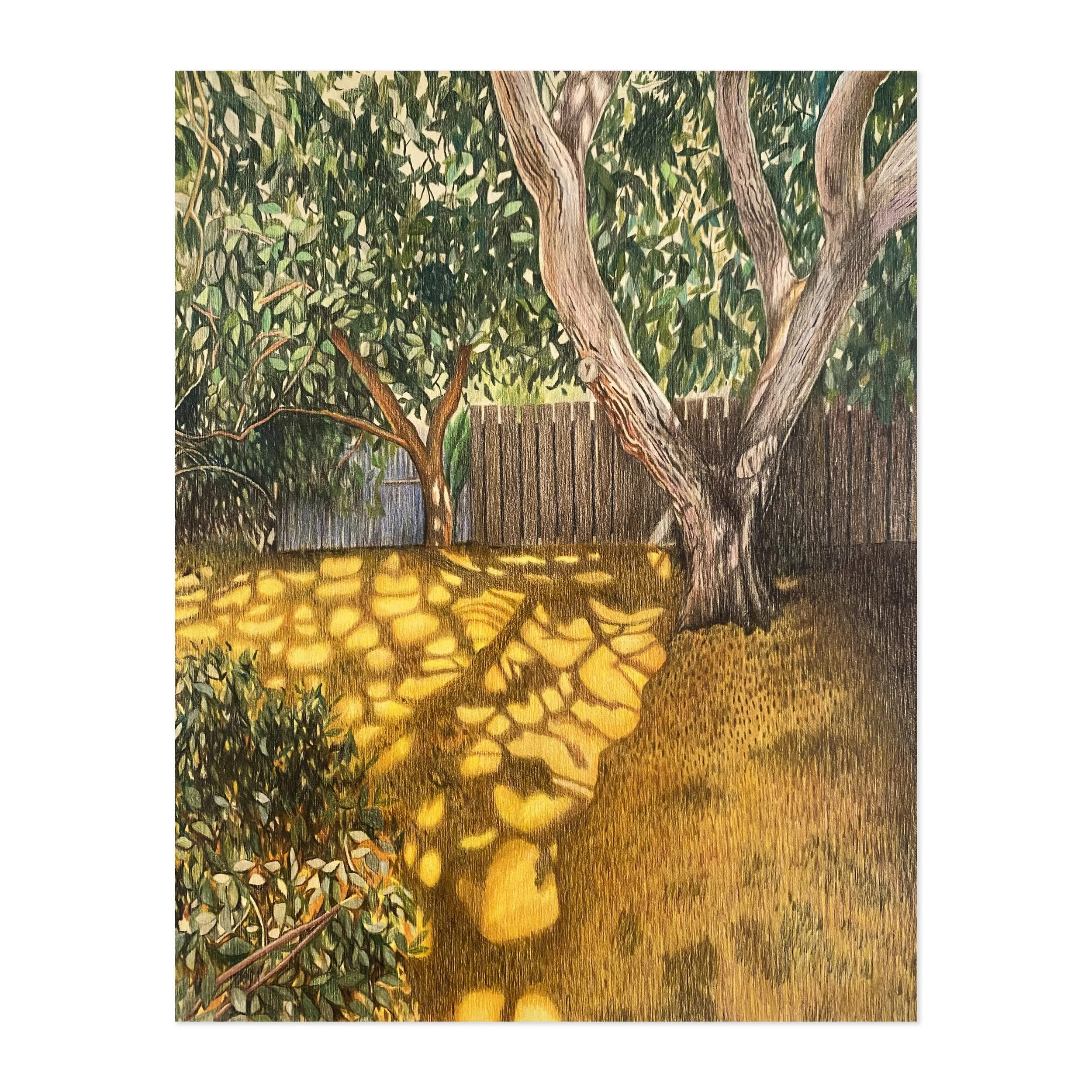 The Honeyed Yard