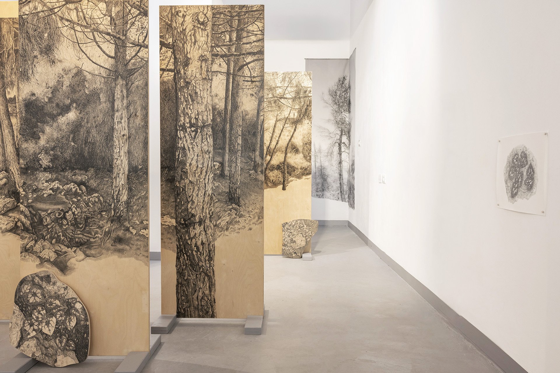 Another place that's not here, graphite on birch wood, 300cm x 180cm, installation view