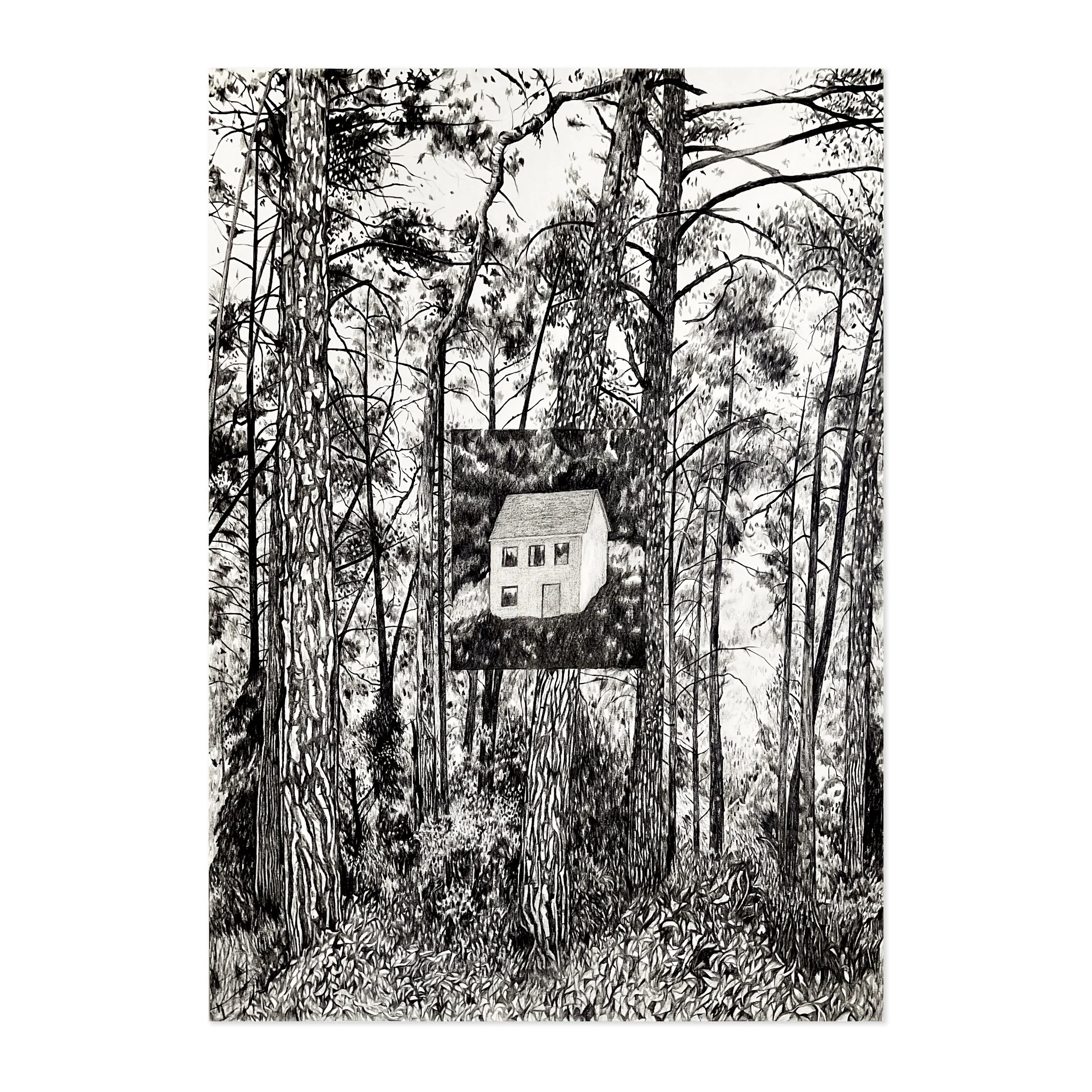 Dreams Without Walls