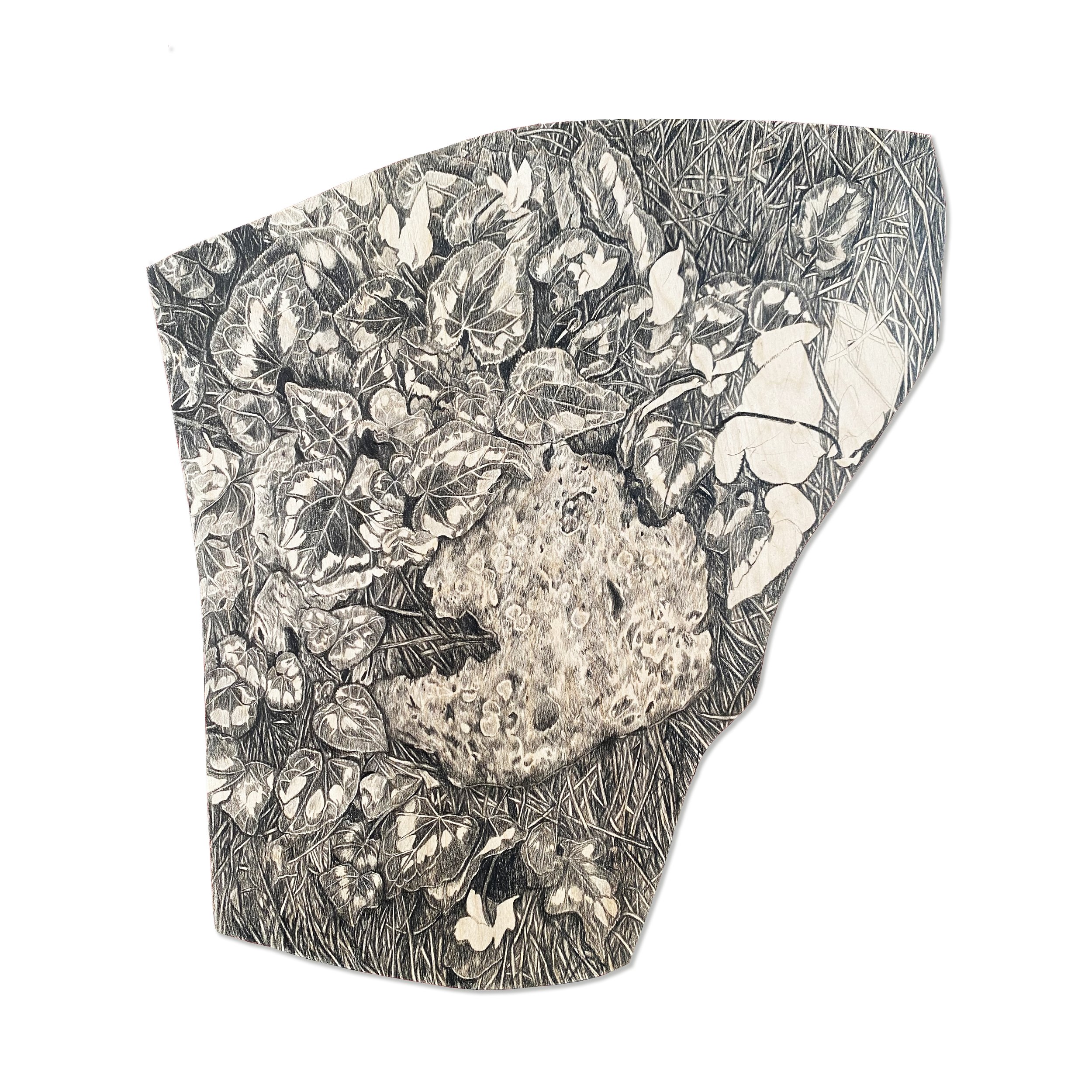 Ground, graphite on birch wood, 36cm x 42cm
