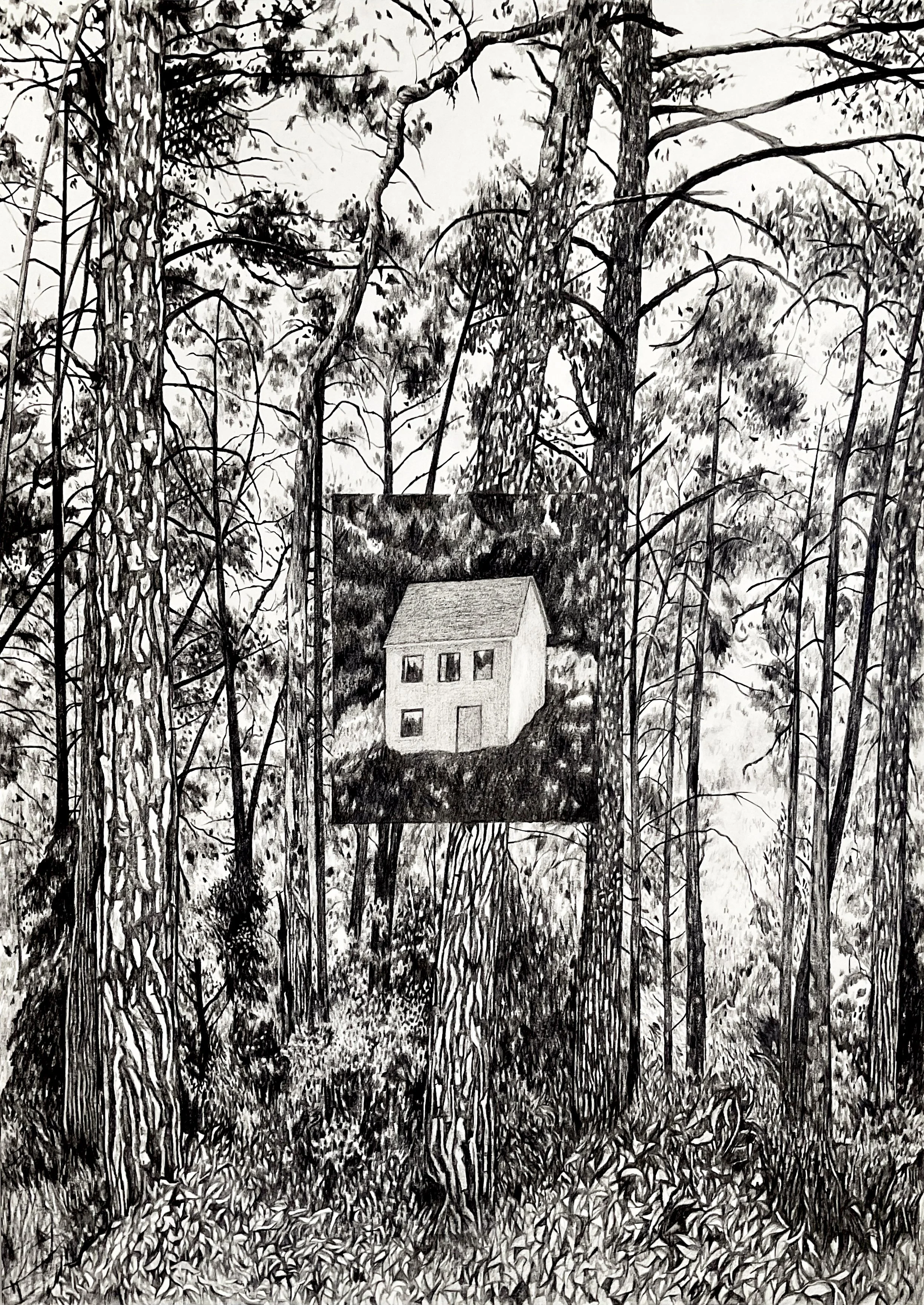 Dreams Without Walls 2.jpg