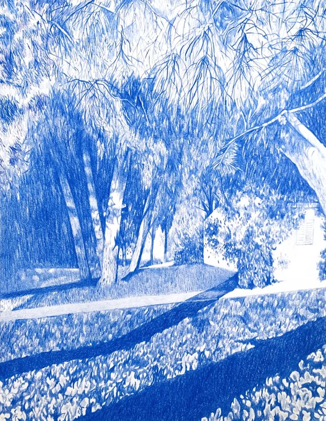 In a story too long to tell, Coloured pencil on paper, 22cm x 28.7cm