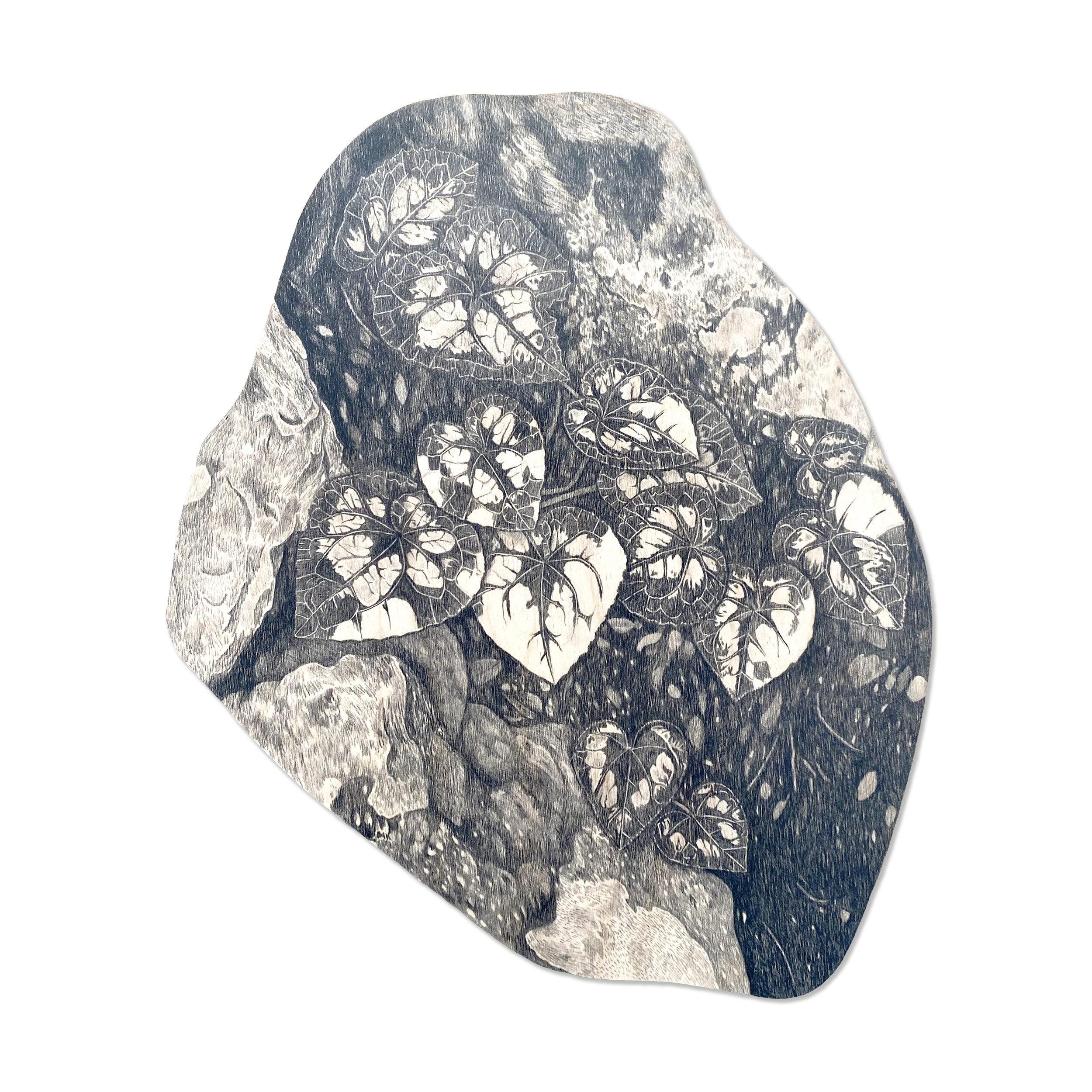 Ground, graphite on birch wood, 36.5cm x 48cm