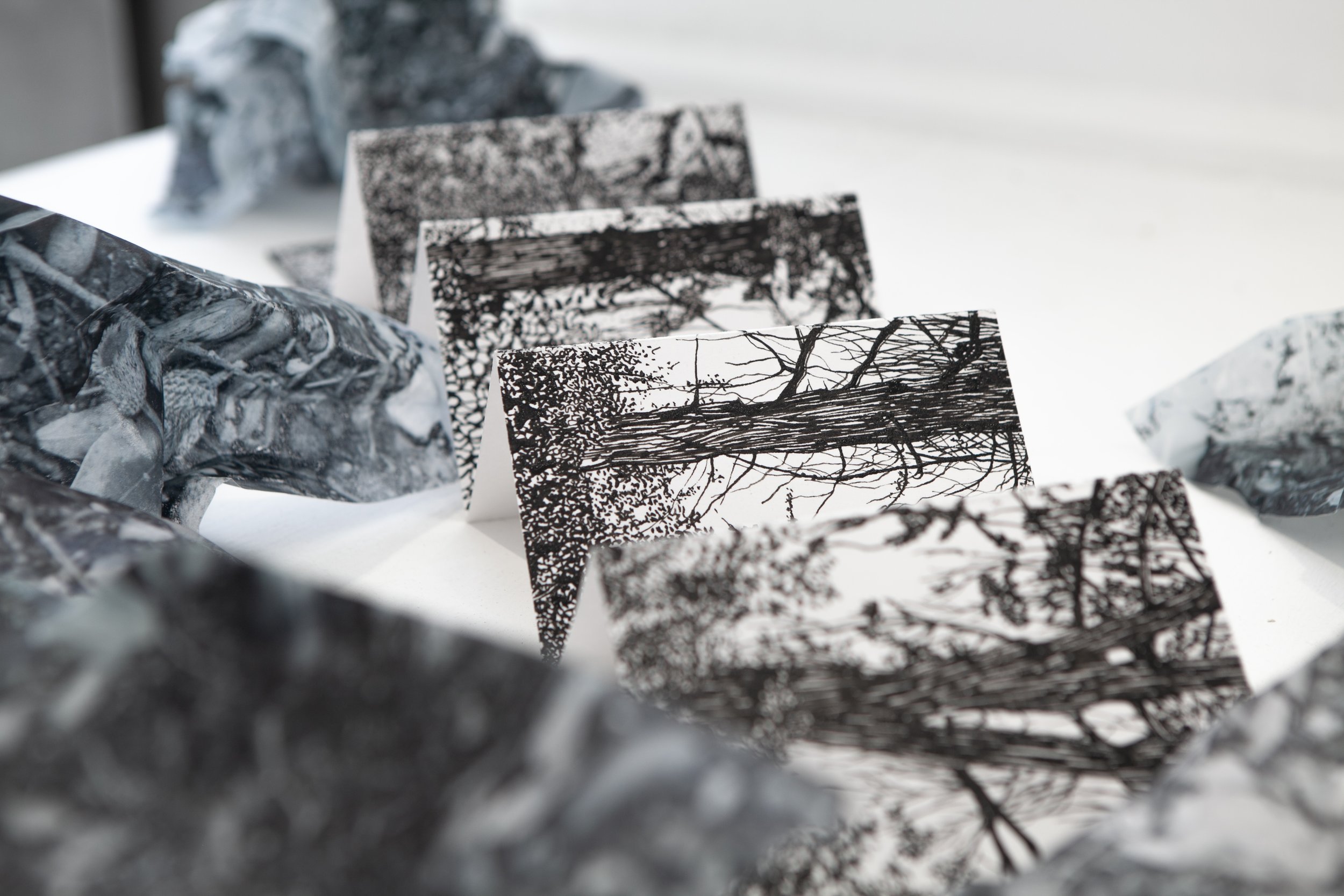 Accordion forest book, installation view