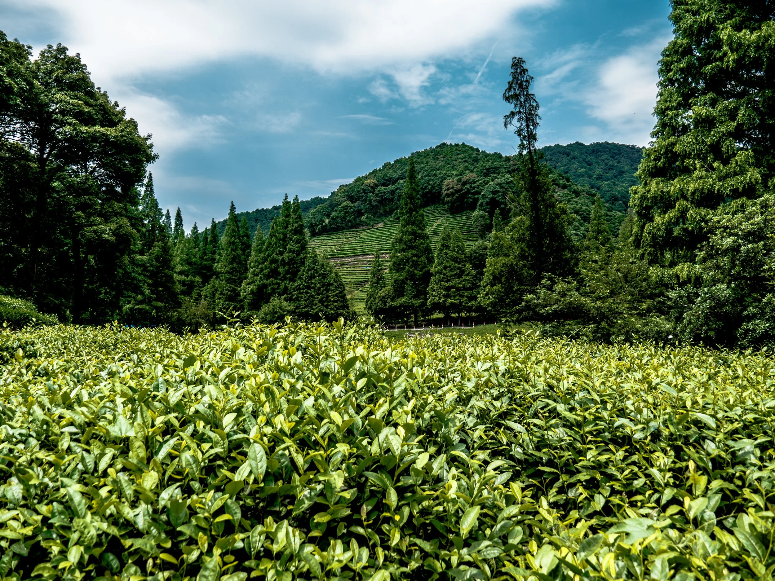 Hangzhou, China (26).JPG