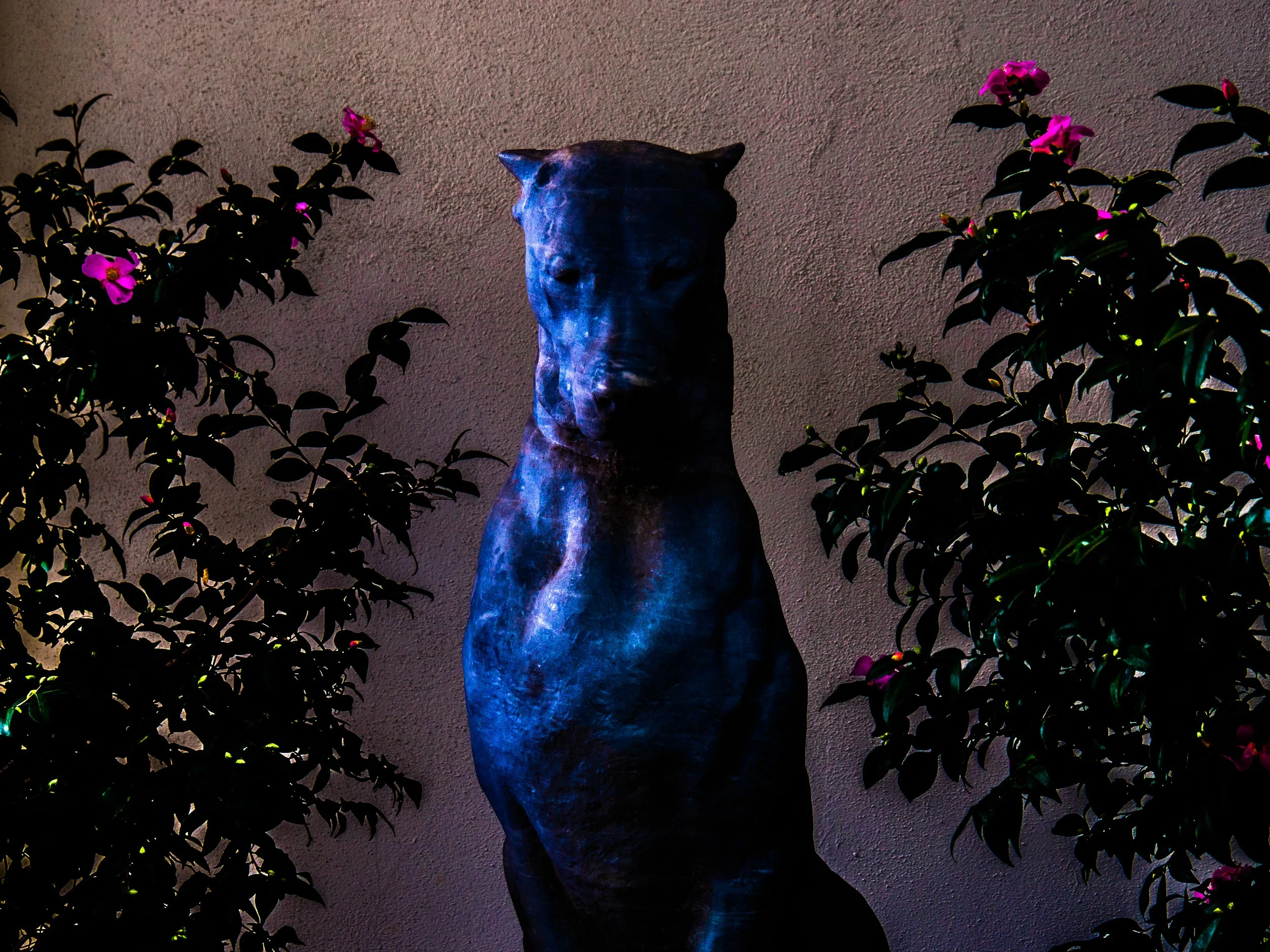 The Huntington Gardens (6).JPG