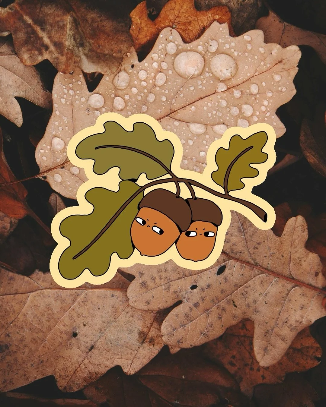 My grumpy acorns are now available as stickers 🥰 Small grumps - big charm! #stickerlove #acorn
